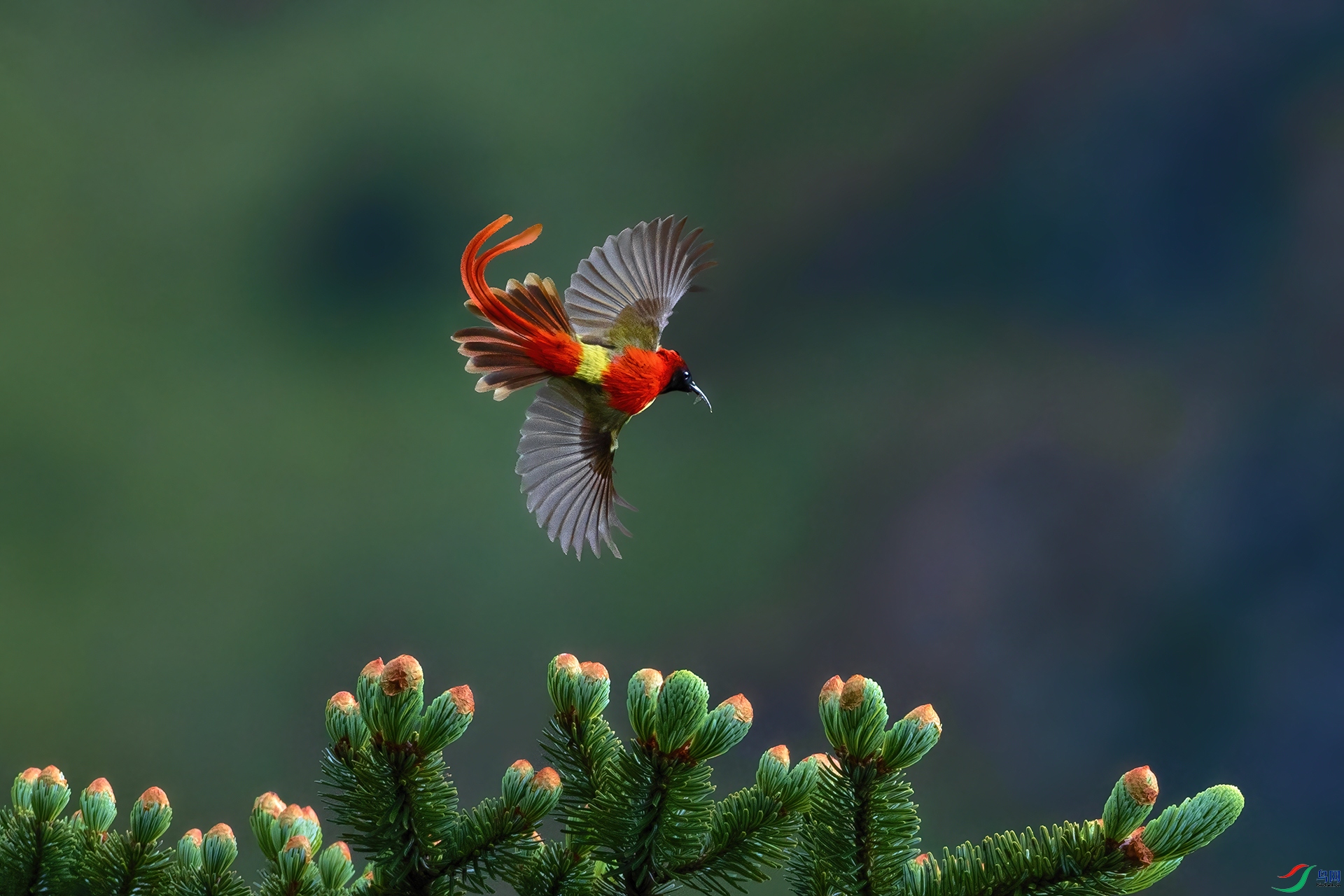 AV3I5540Q-3-1-DeNoiseAI-low-light (1)-3-HZW.jpg