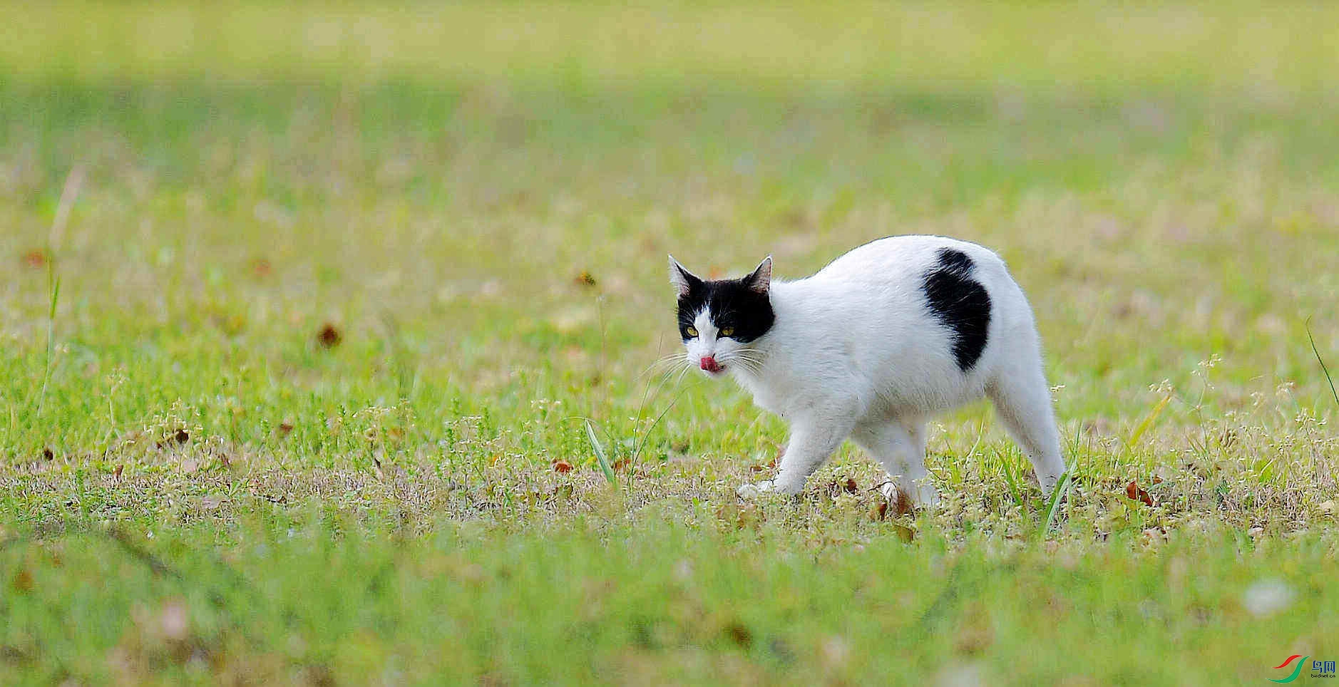 DSC_2847_����.jpg
