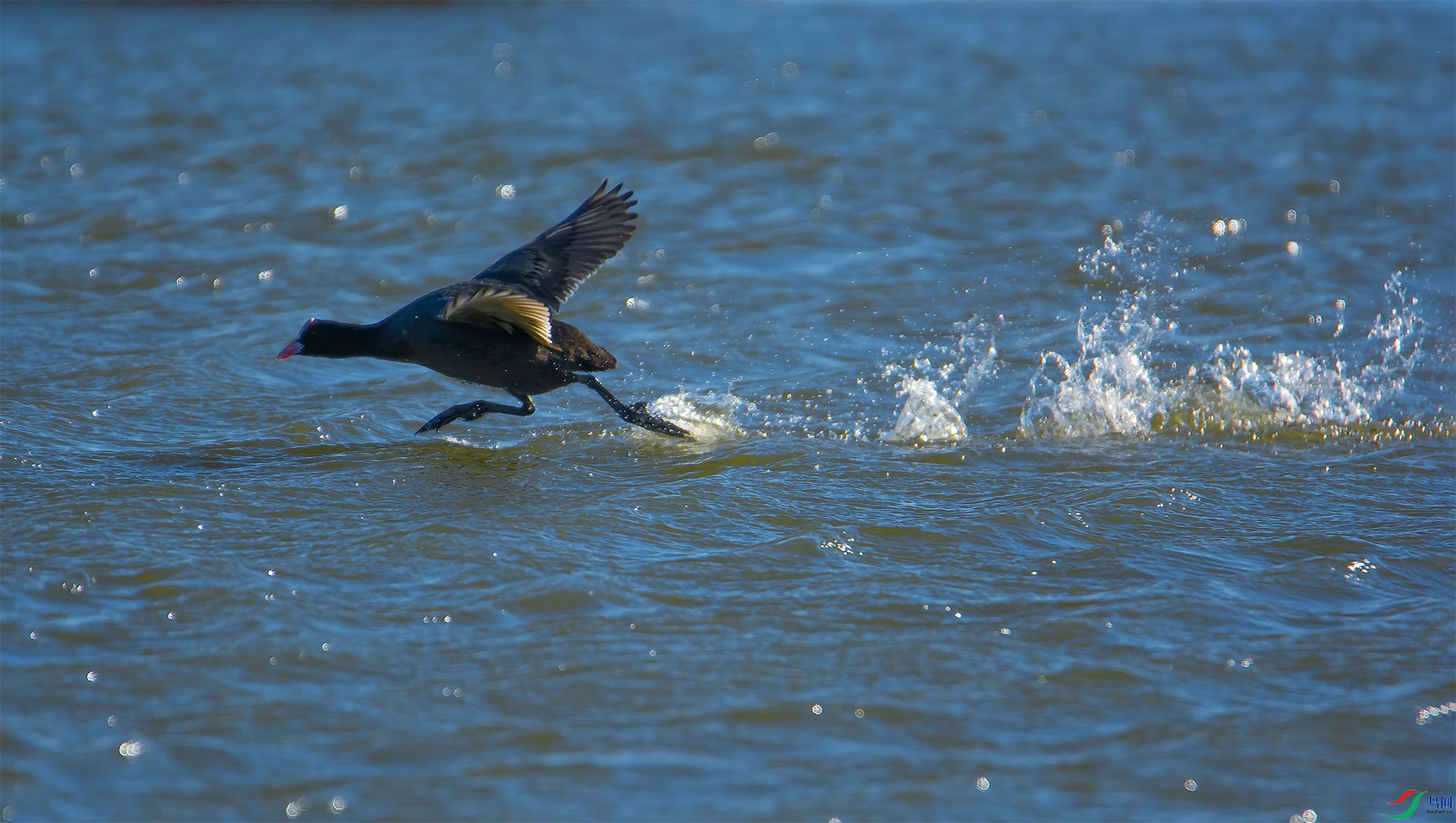DSC_9123.jpg