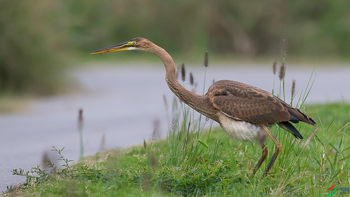 DSC_3266 - ����.jpg