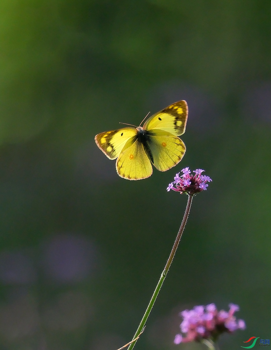 DSCF9588.JPG