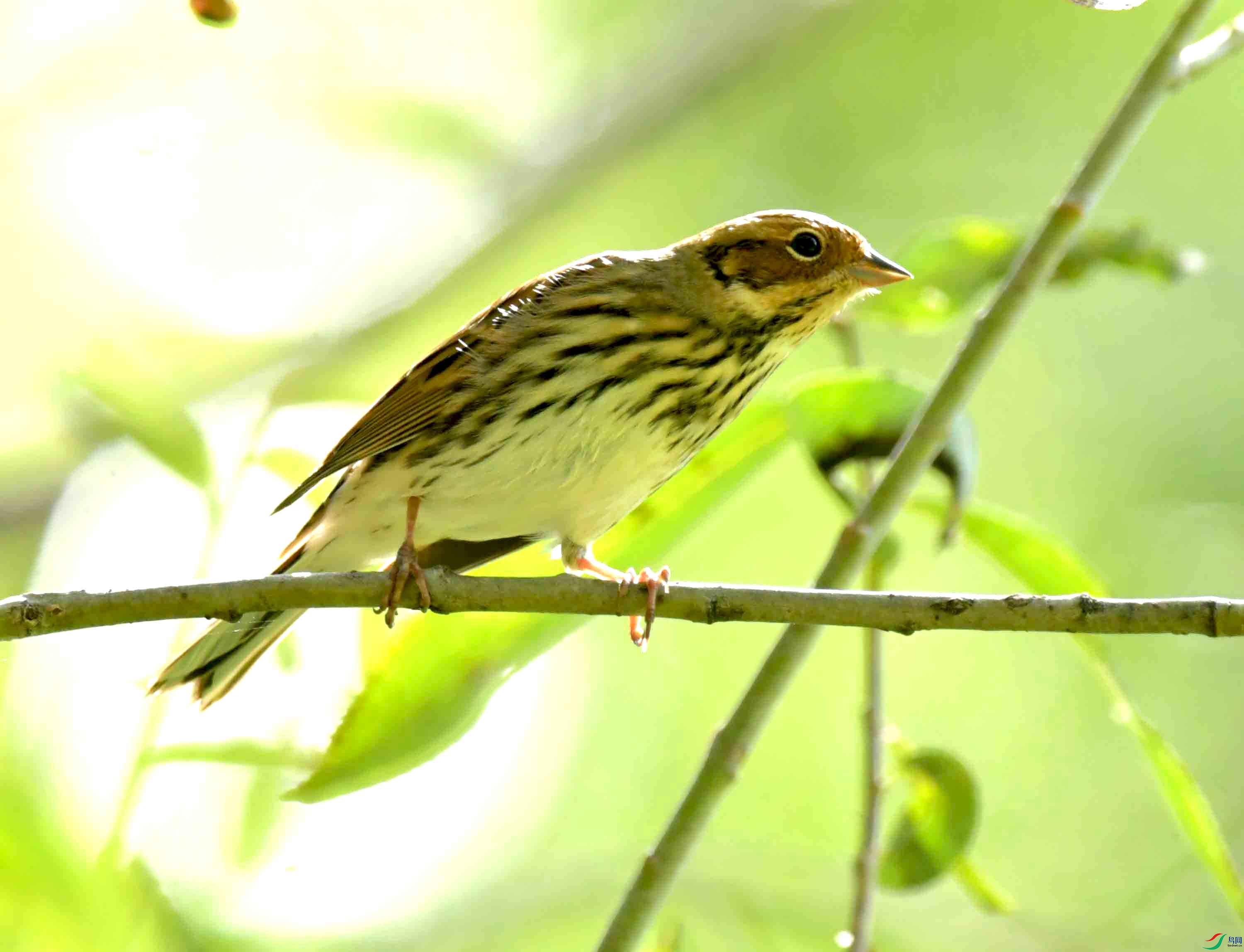 DSC_8586.JPG