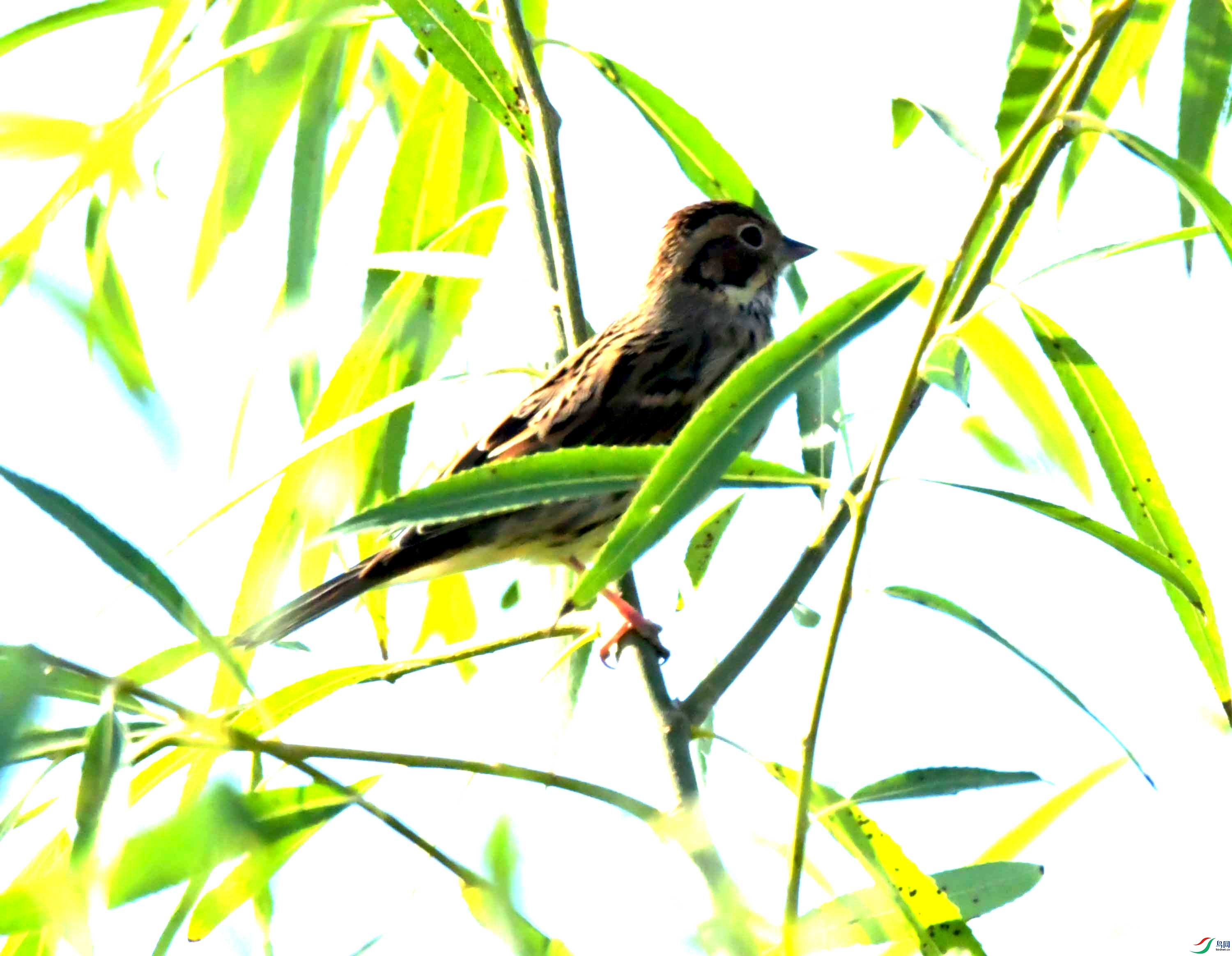DSC_8927.JPG