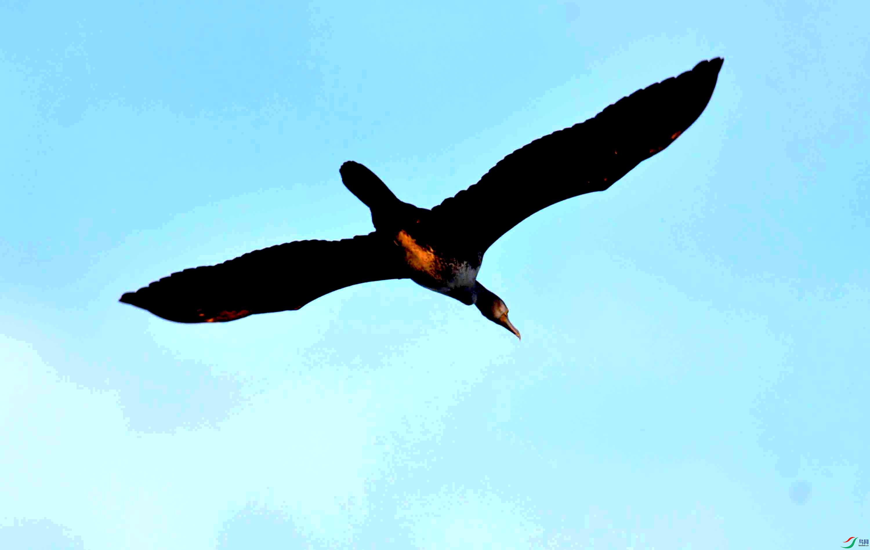 DSC_2514.JPG