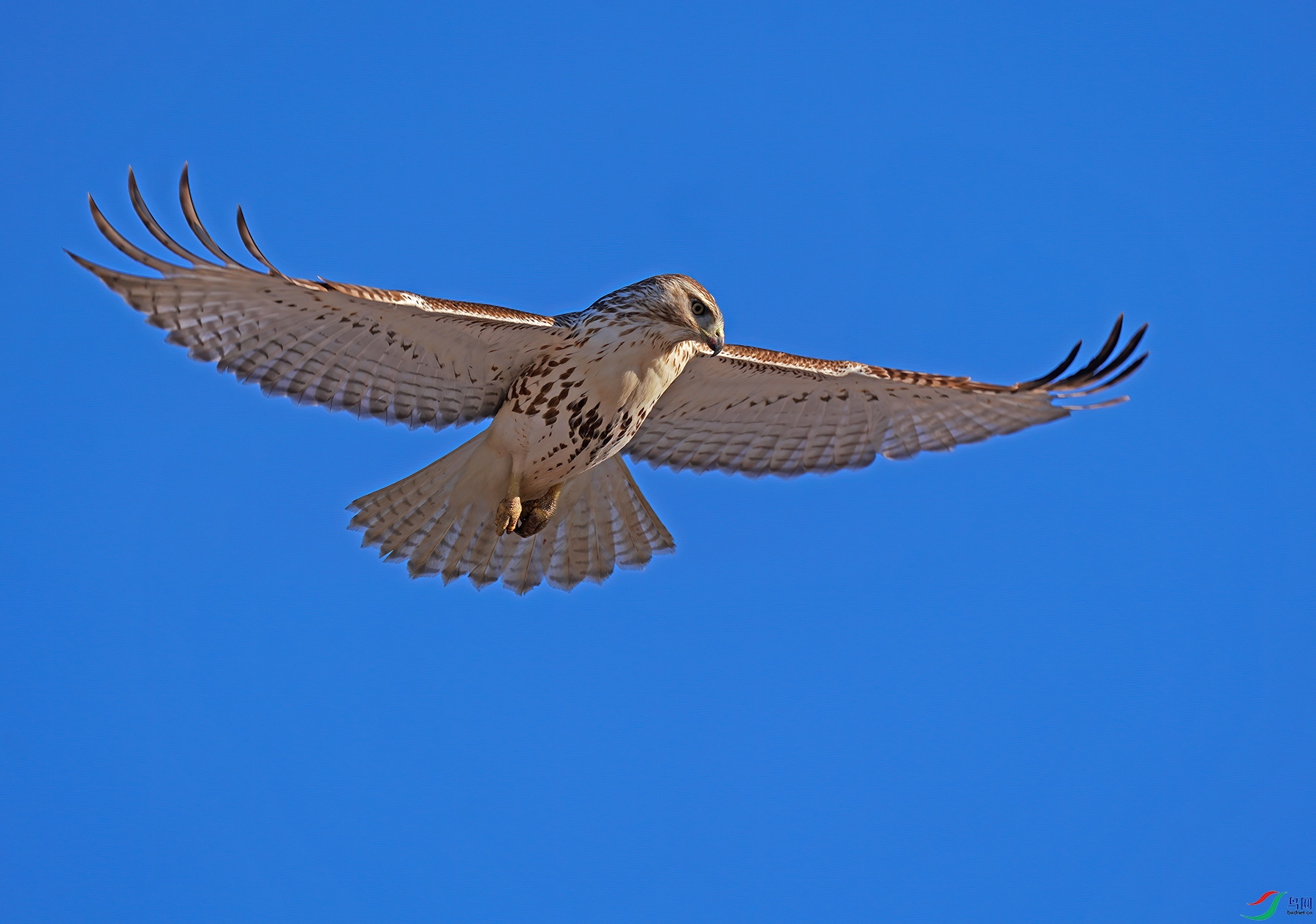 DSC09724--.jpg