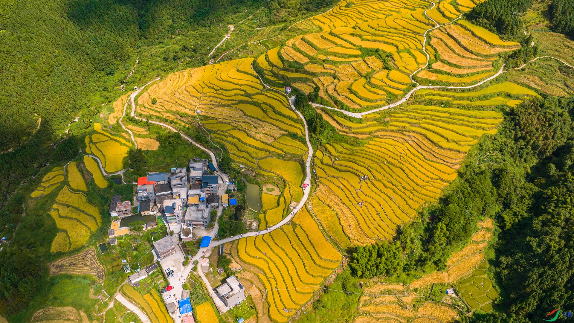 DJI_0189.jpg