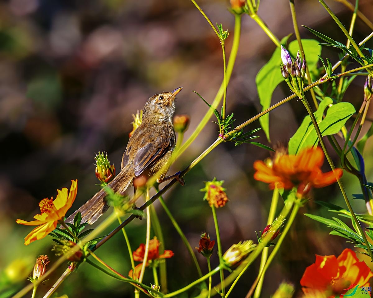 DSC_5989.jpg