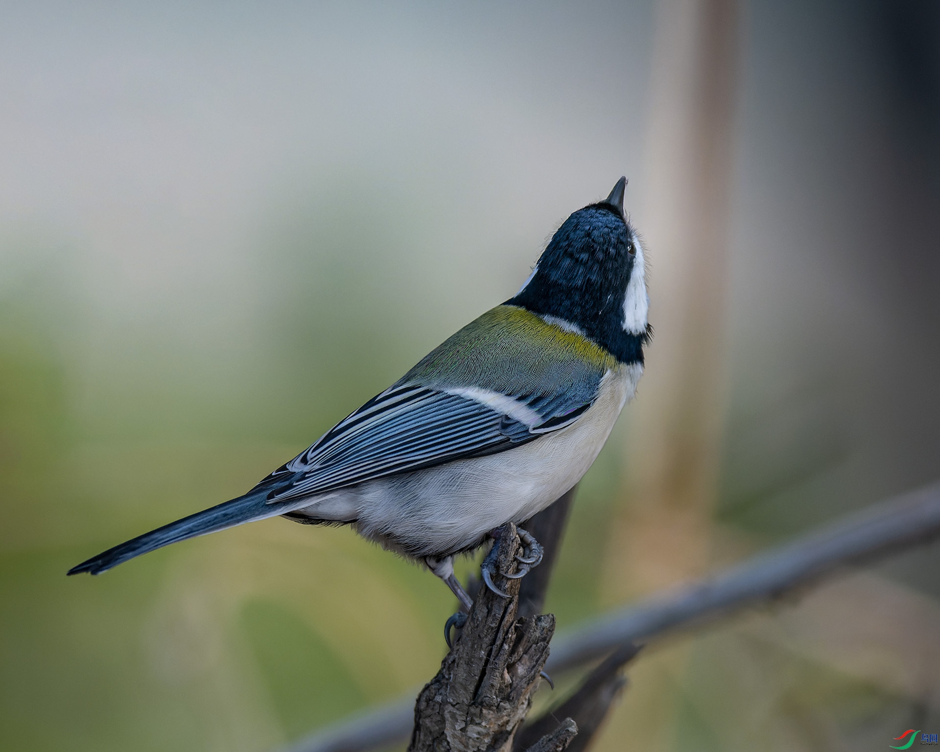 _DSC1700_DxO.jpg