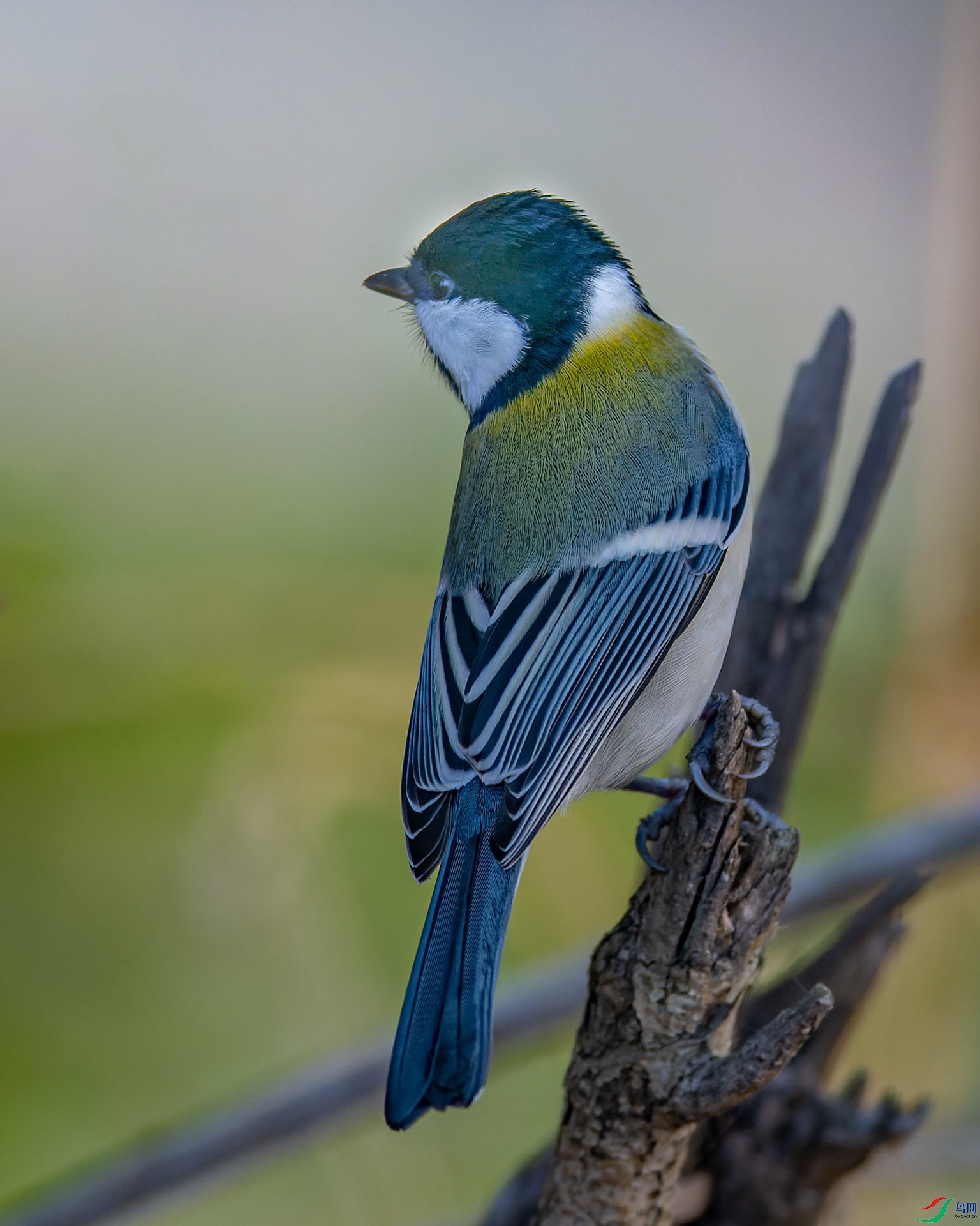 !_DSC1721_DxO.jpg
