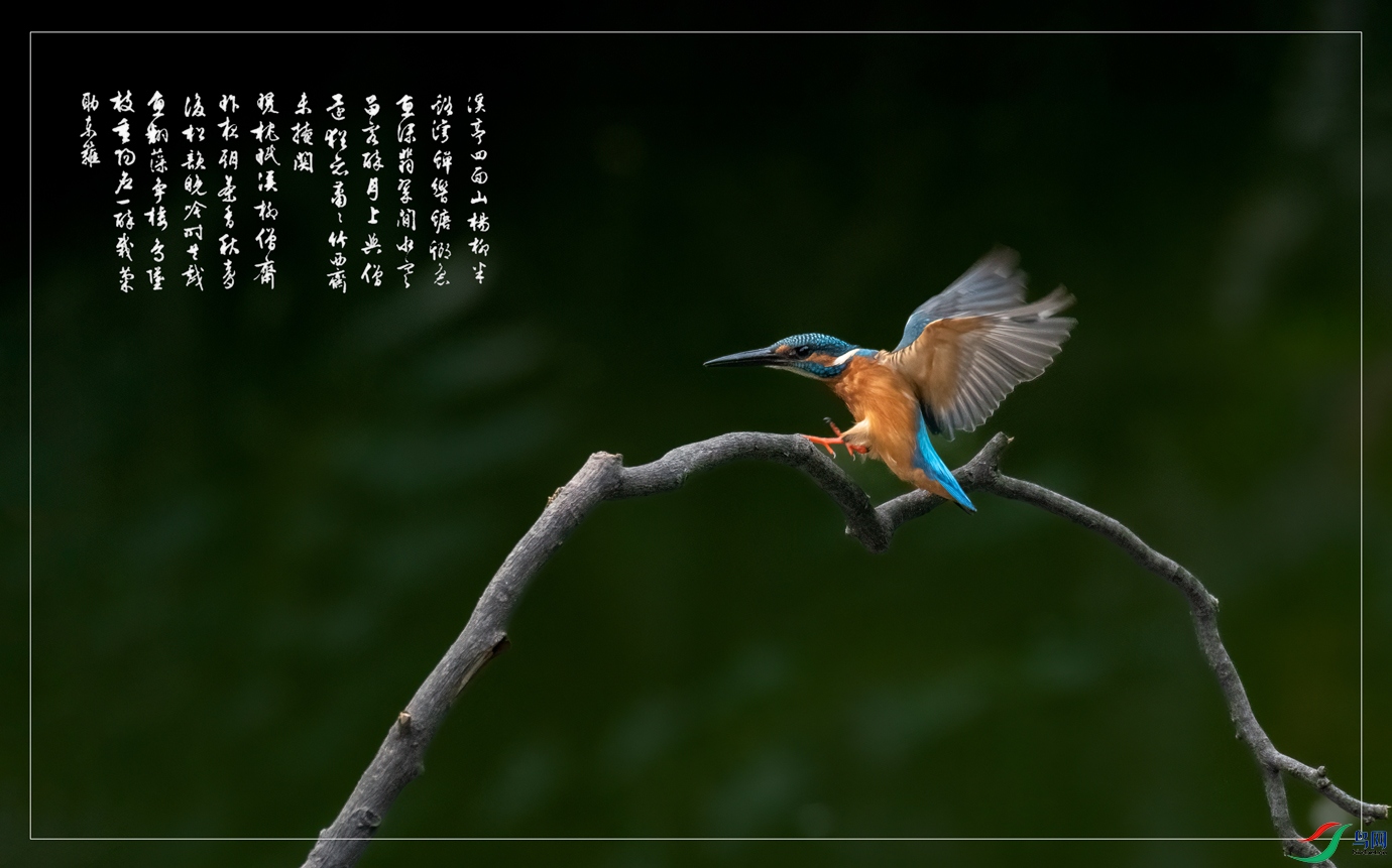 JJY_8159-1.jpg