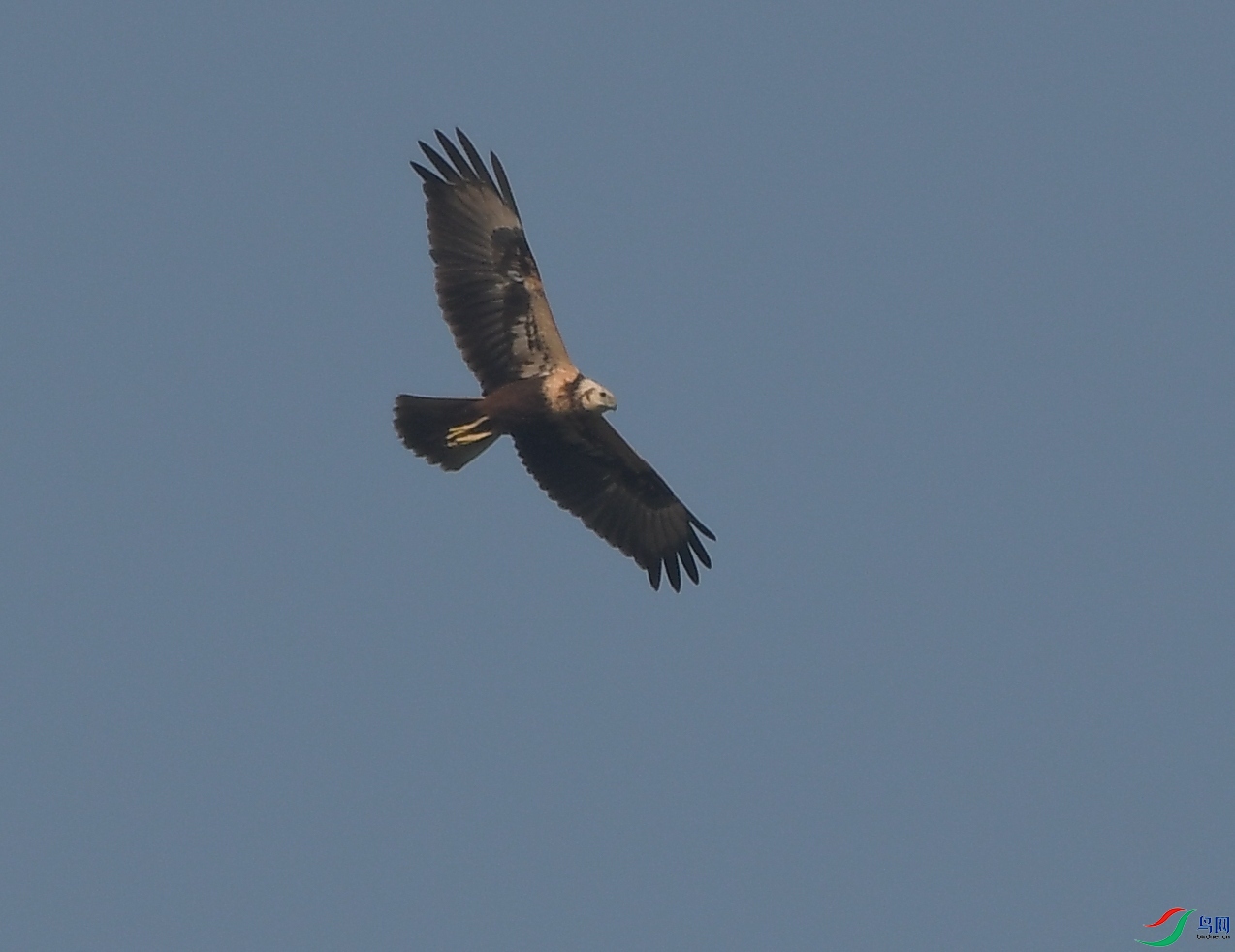 DSC_8611.JPG