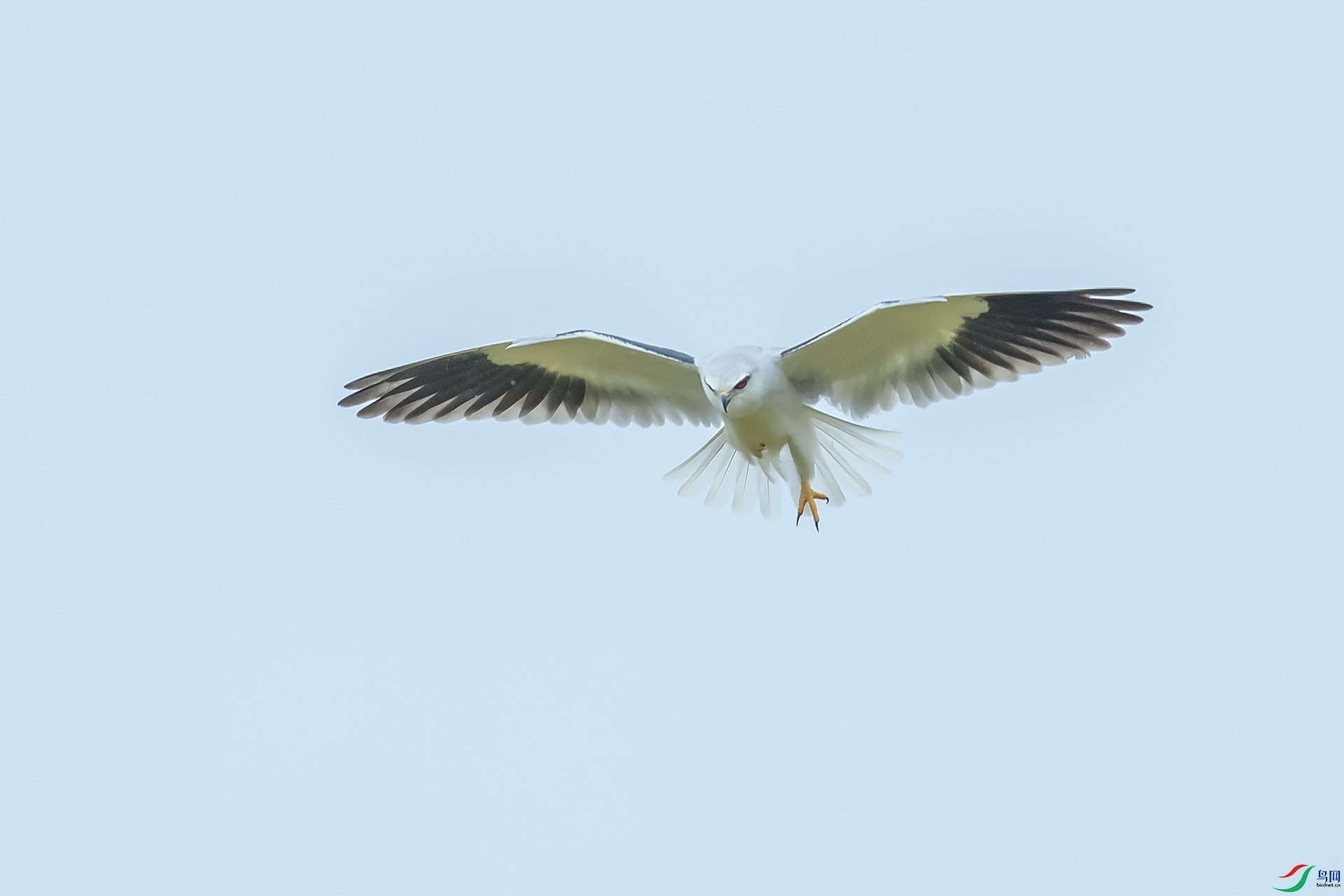 DSC_1734.jpg