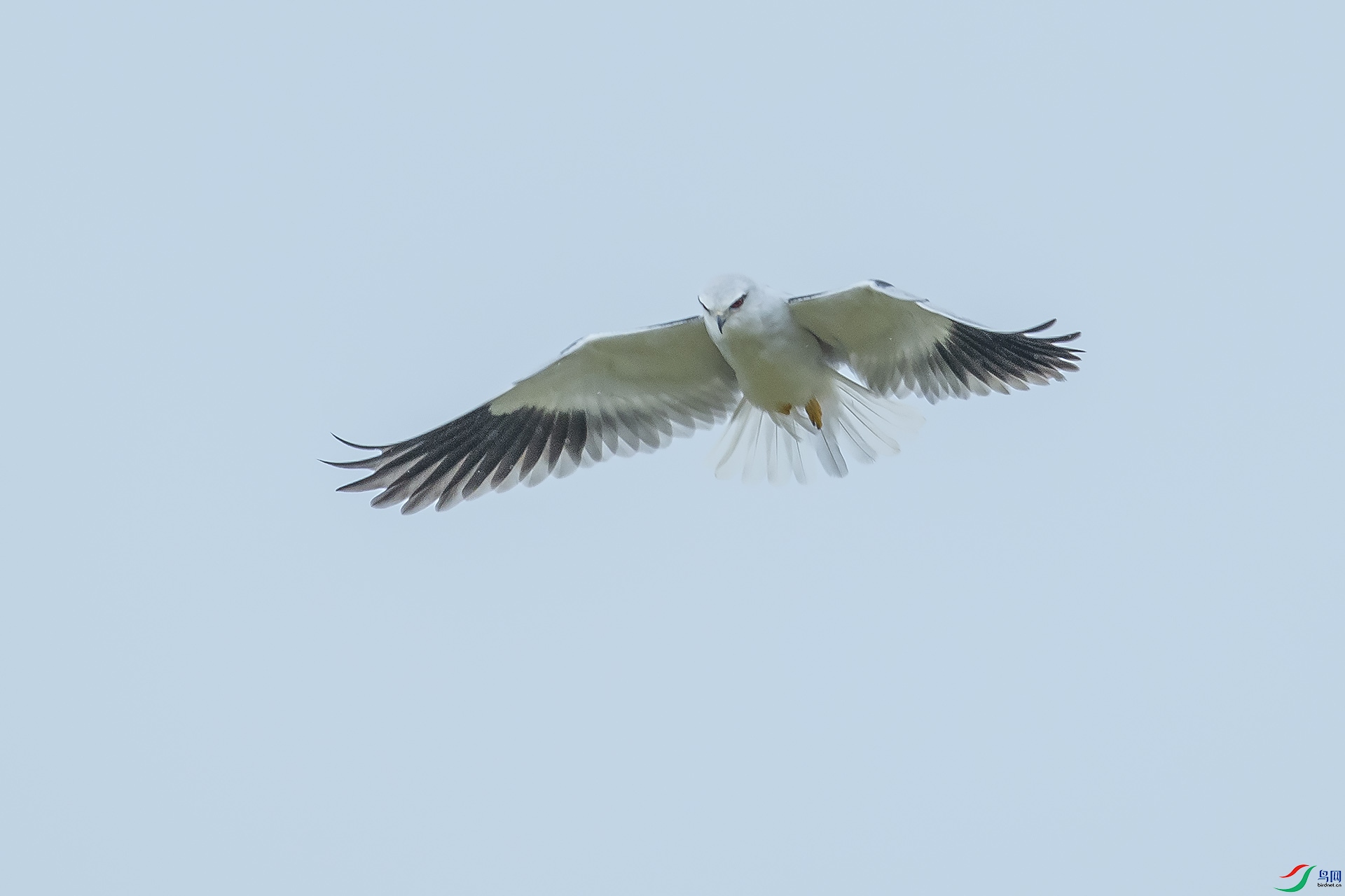 DSC_1736.jpg