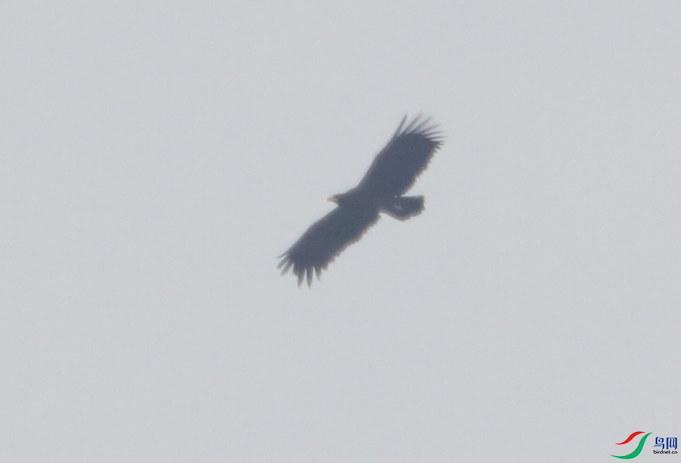 1-151A8731.JPG