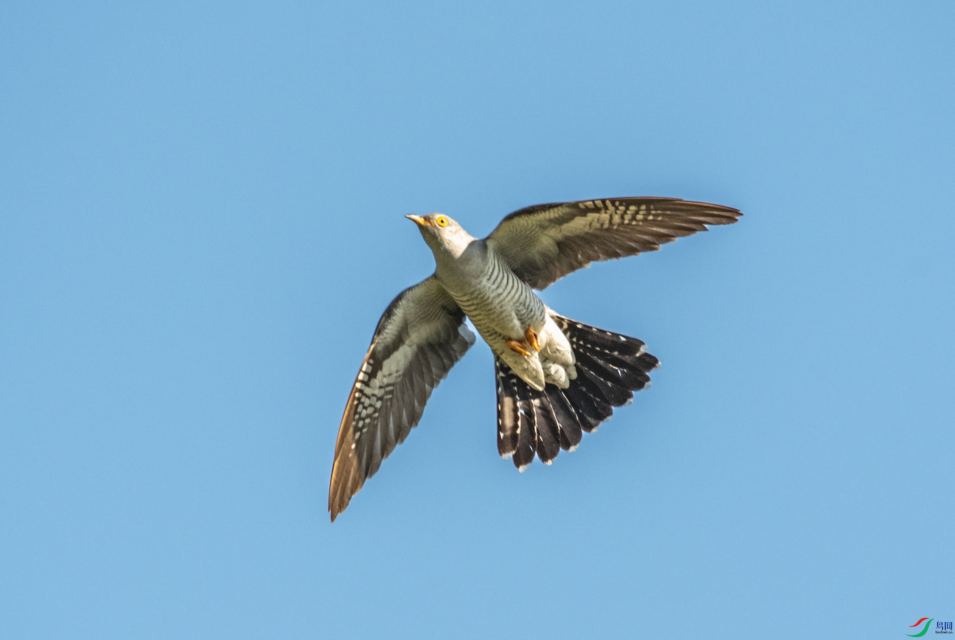 DSC_6111.jpg