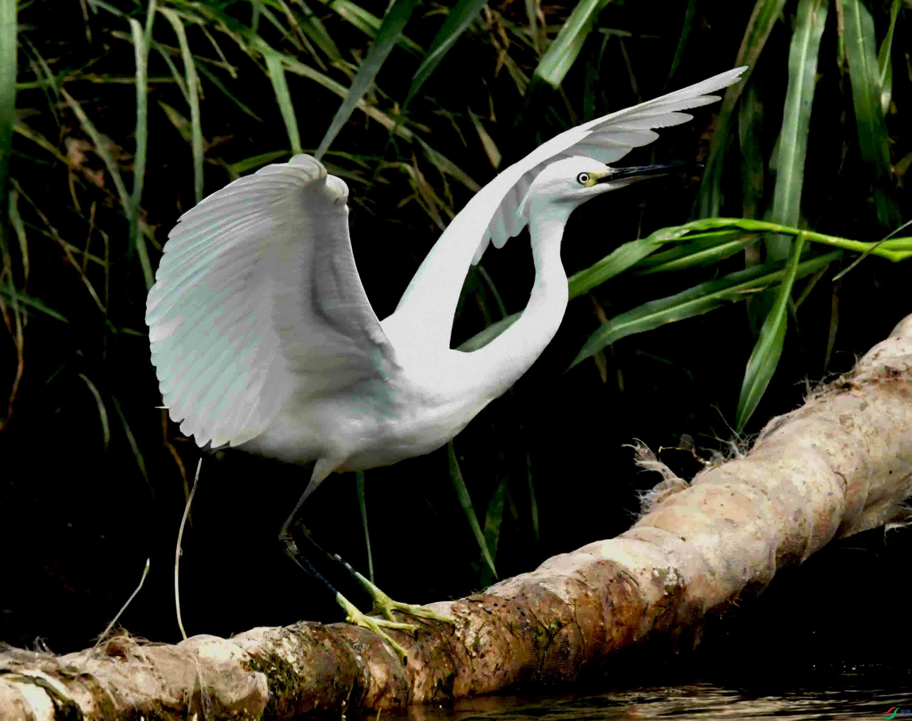DSC_0340.JPG