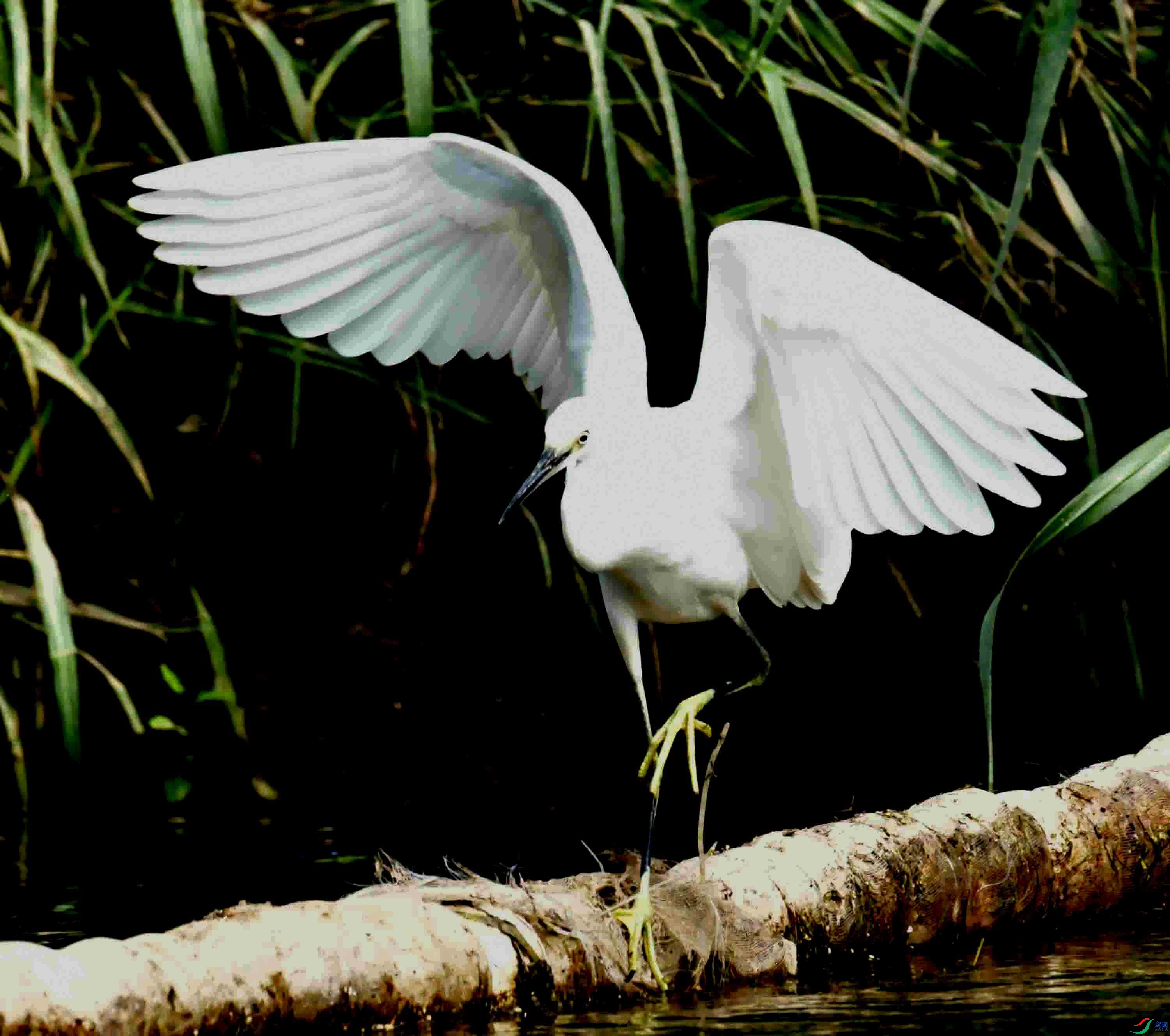 DSC_0346.JPG