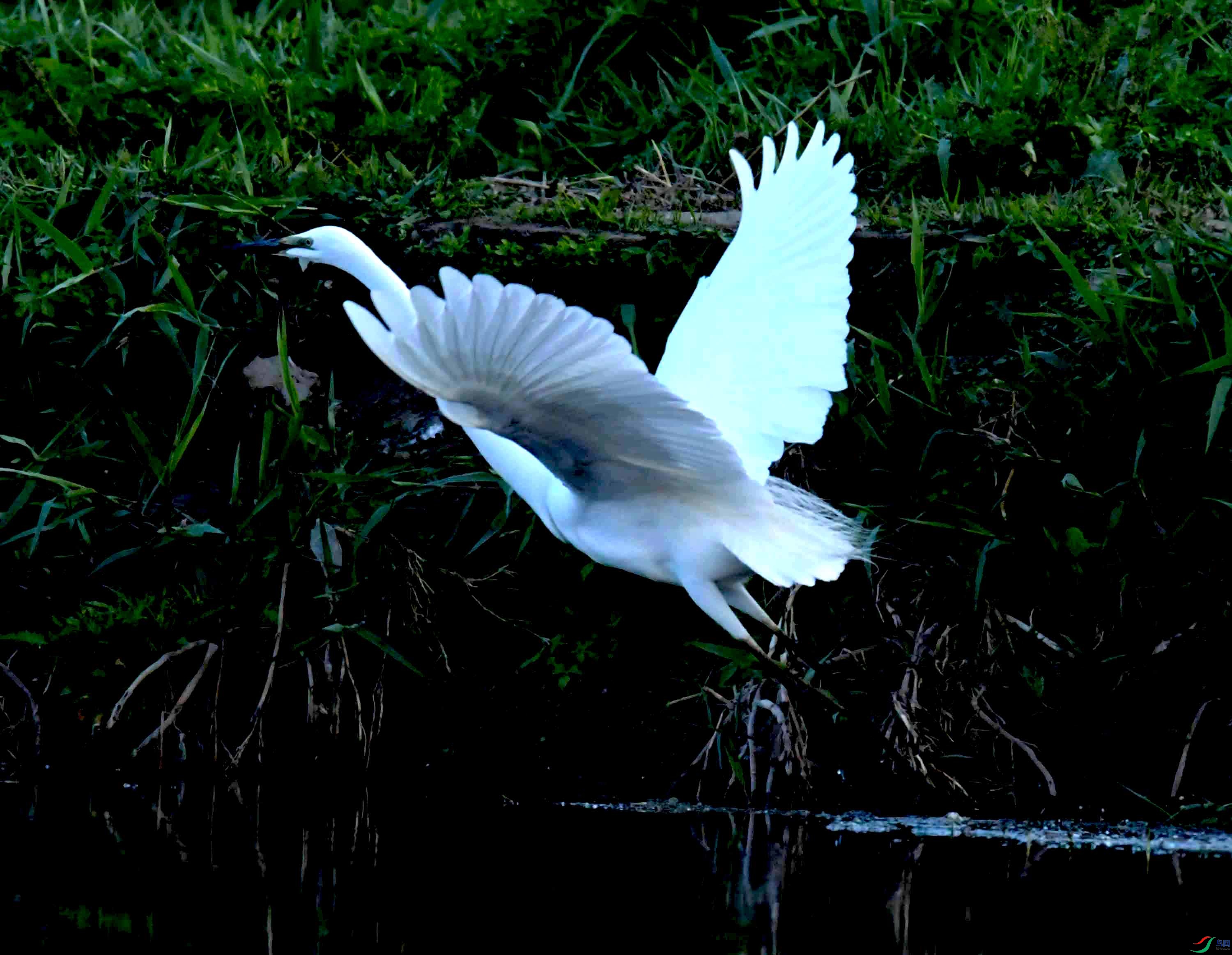 DSC_9664.JPG