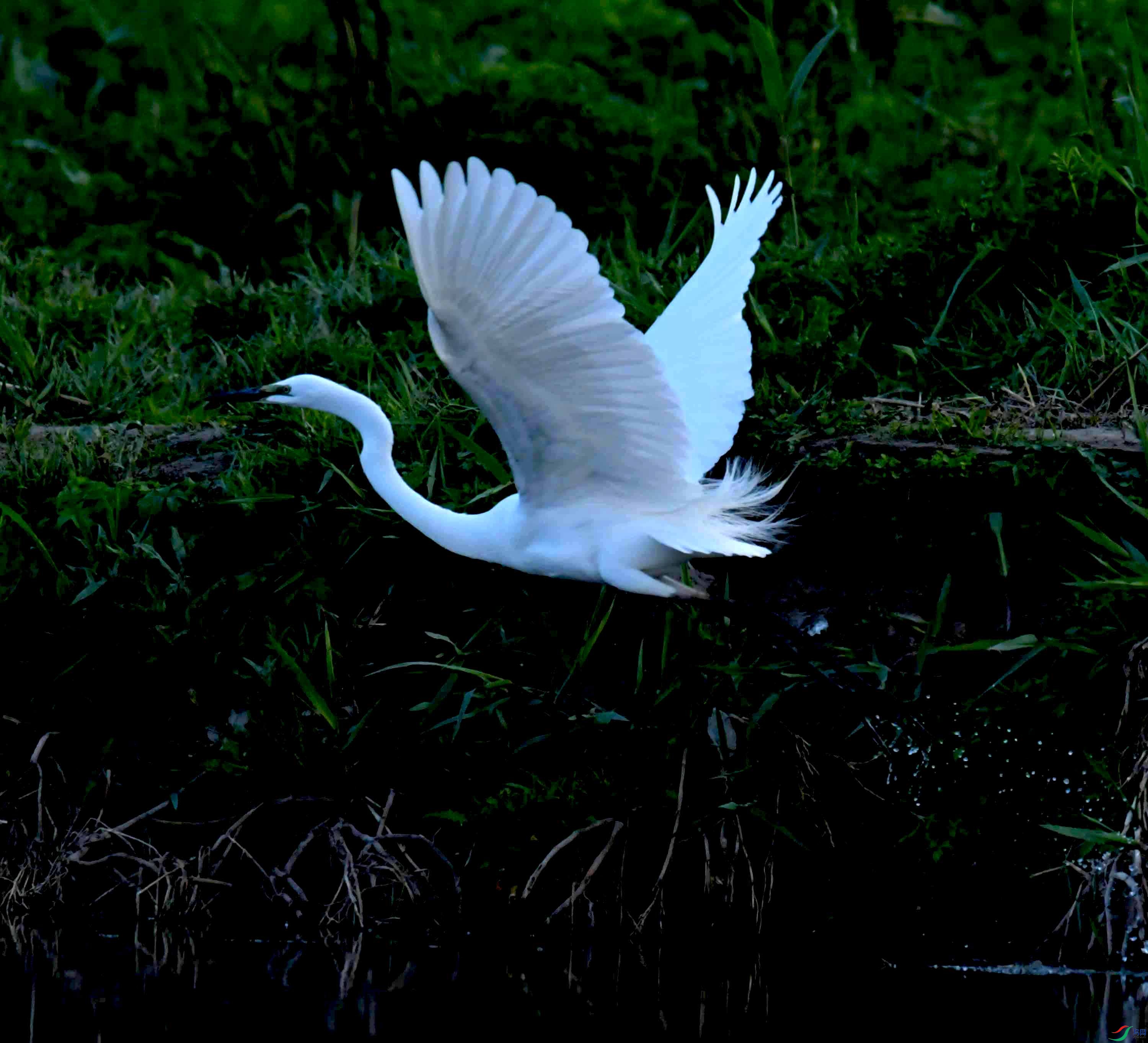 DSC_9666.JPG