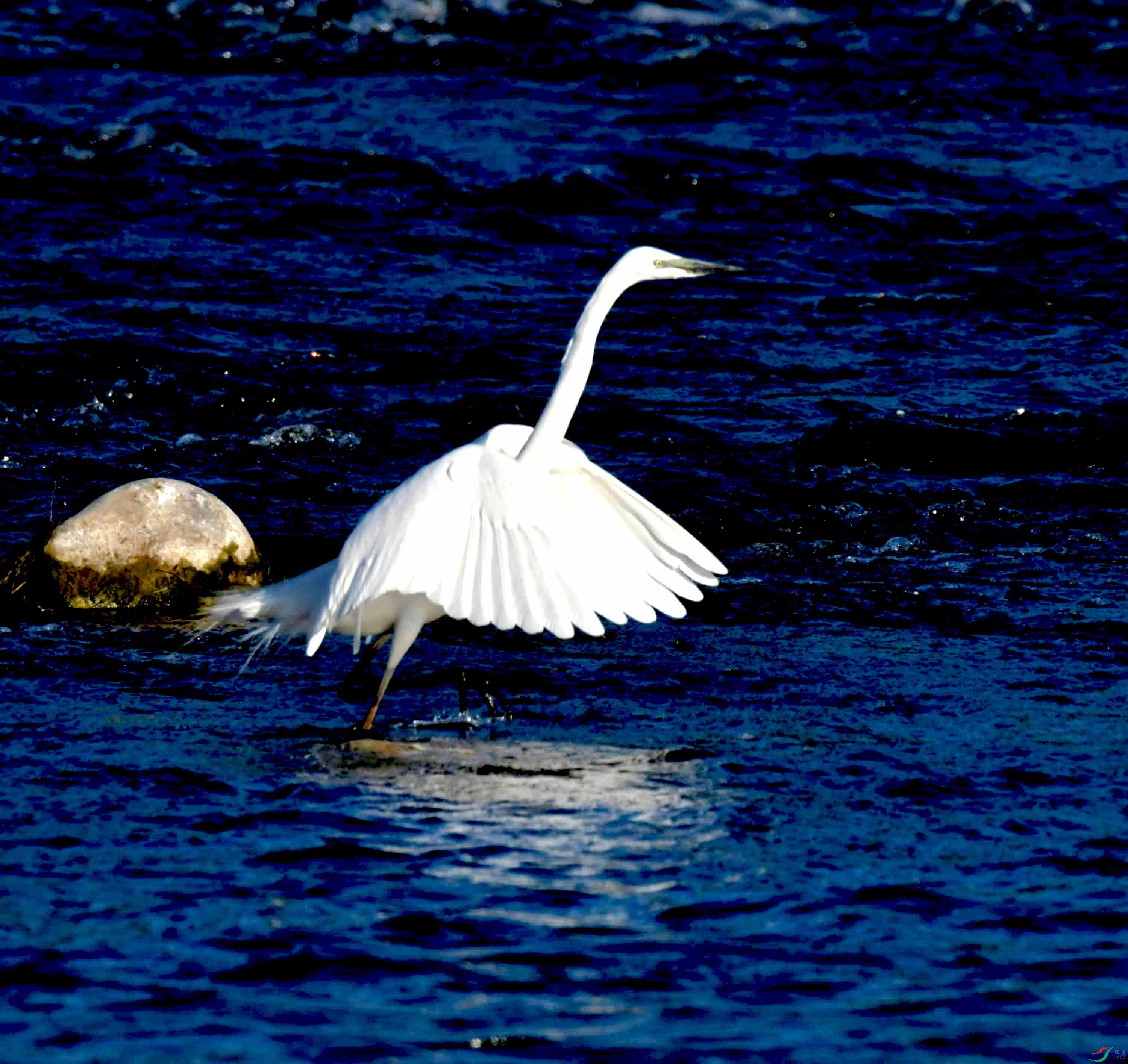 DSC_9676.JPG