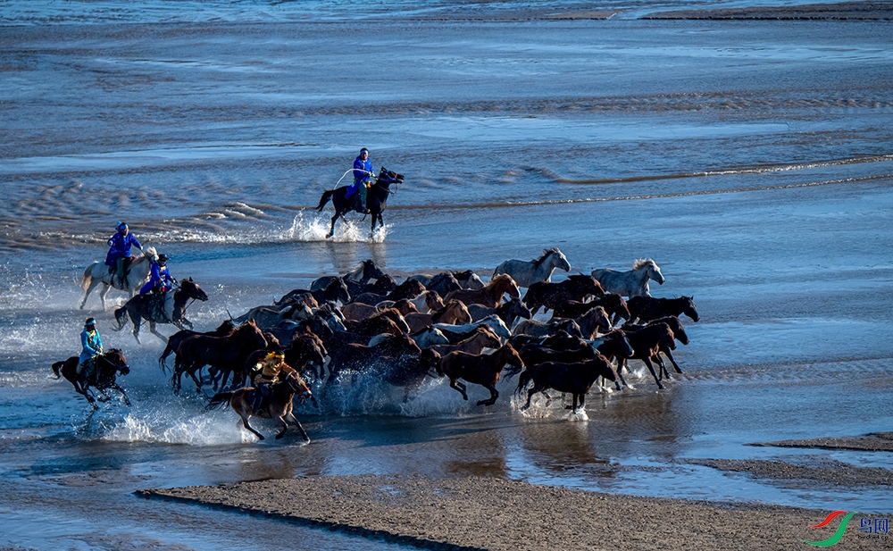 �������