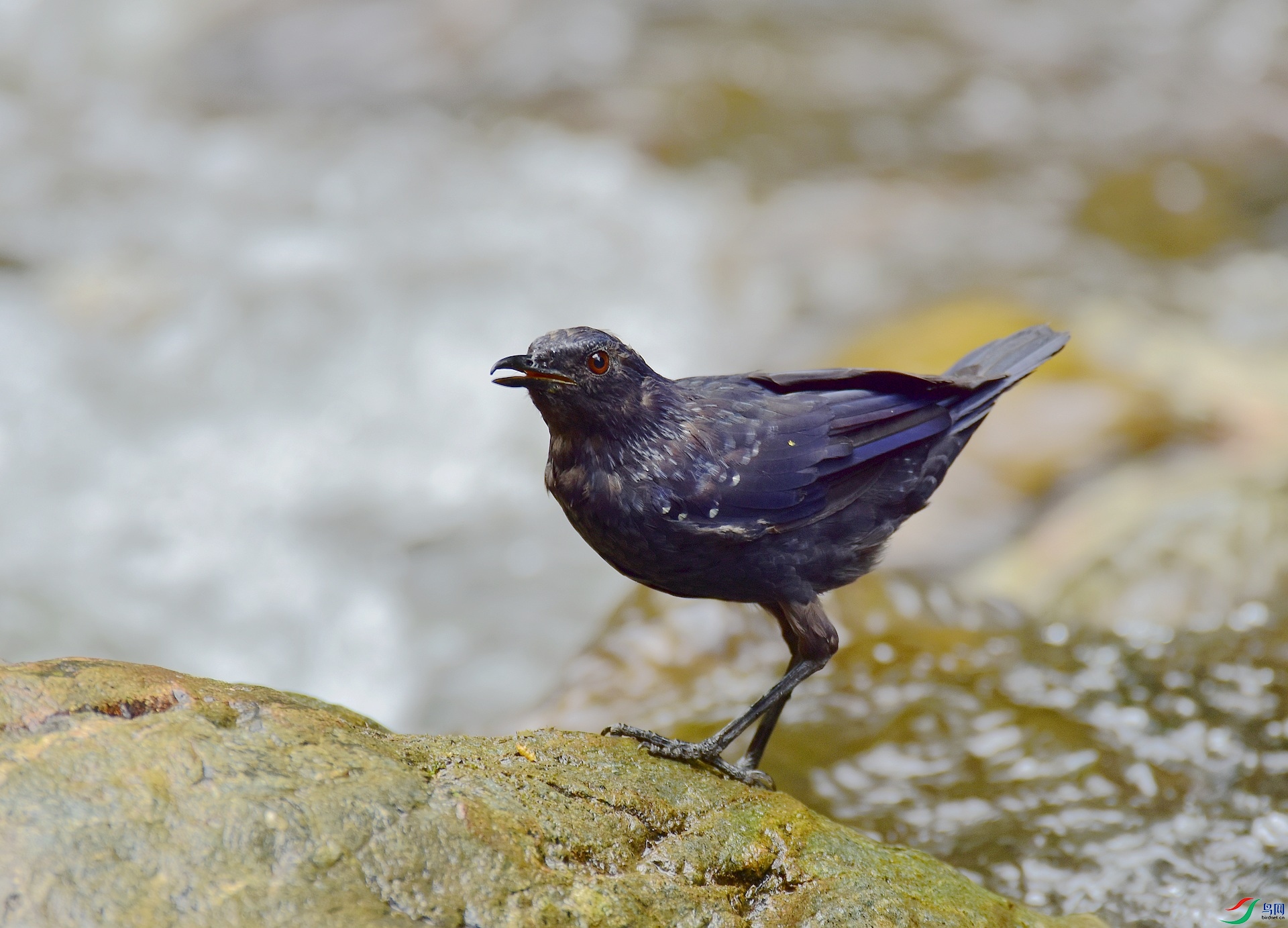 D8I_8980.jpg