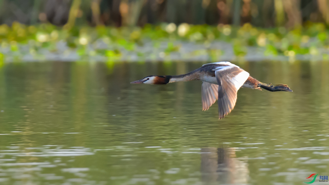 DSC_5228_DxOa.jpg