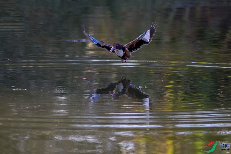 A28A8392-.jpg