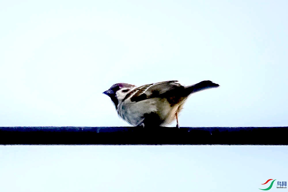 DSC05970.jpg