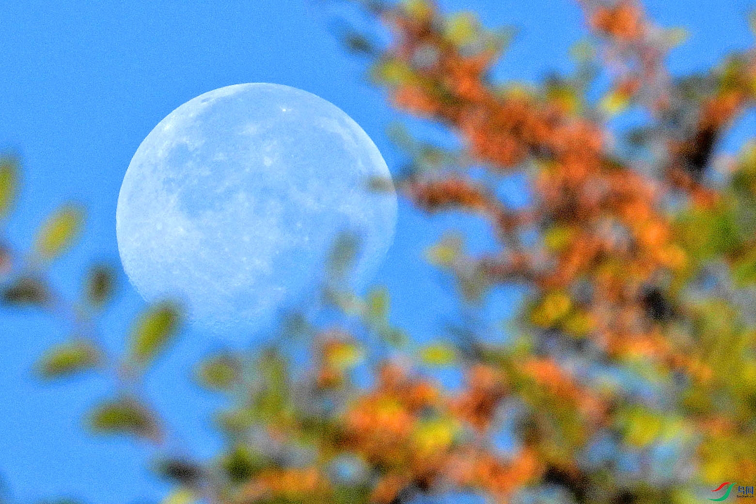 DSCN7102.jpg