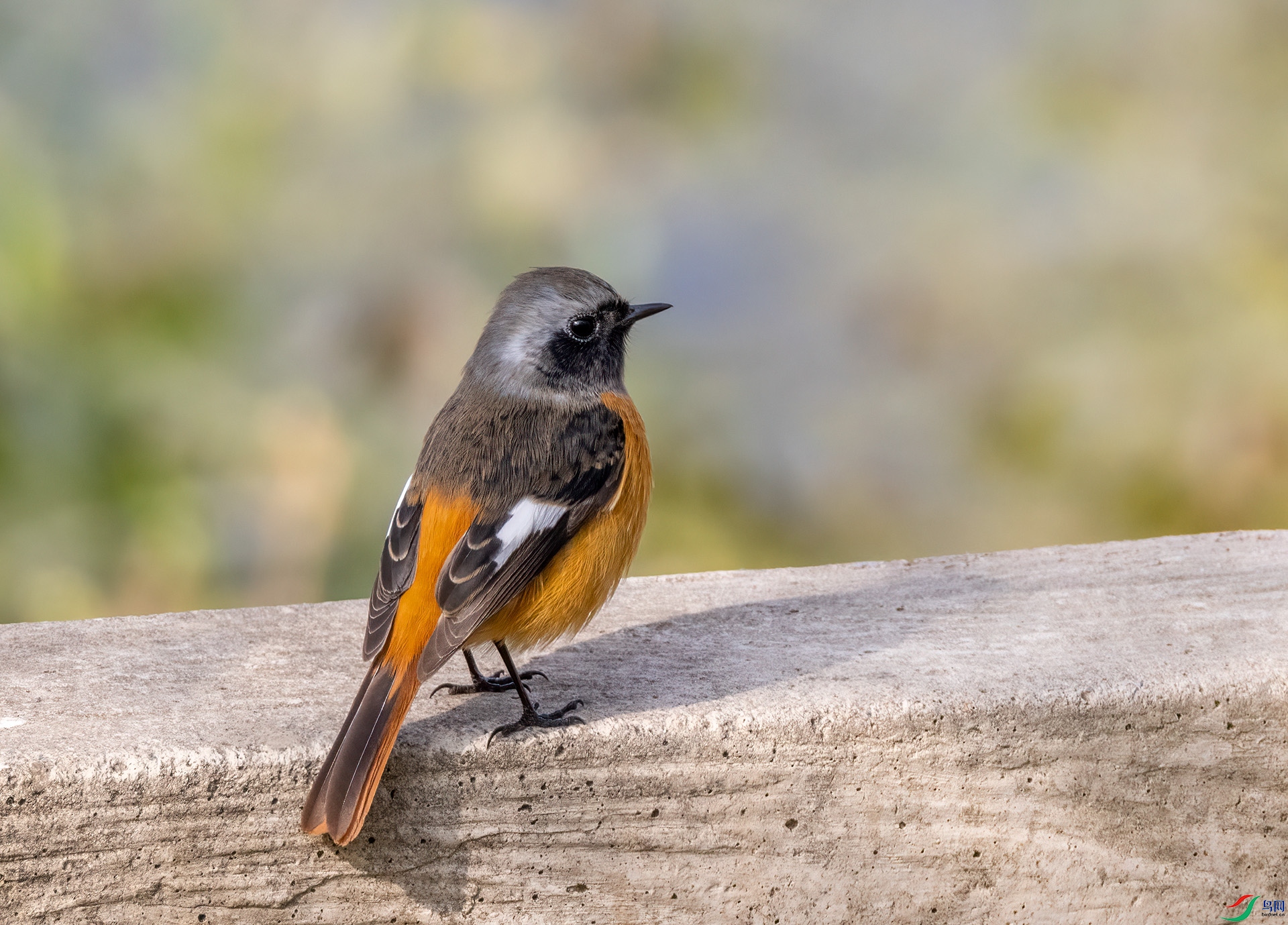 4E9A5625-�ع� 0.20.jpg