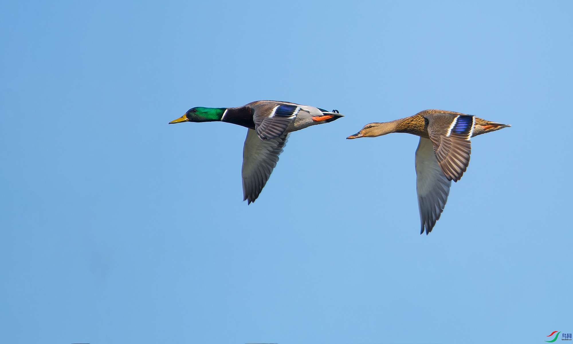 DSC_1547.jpg