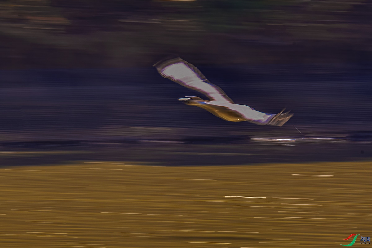 DSC_5723.jpg