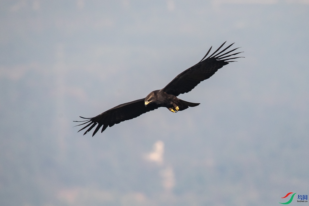 �ֵ�-2184.jpg