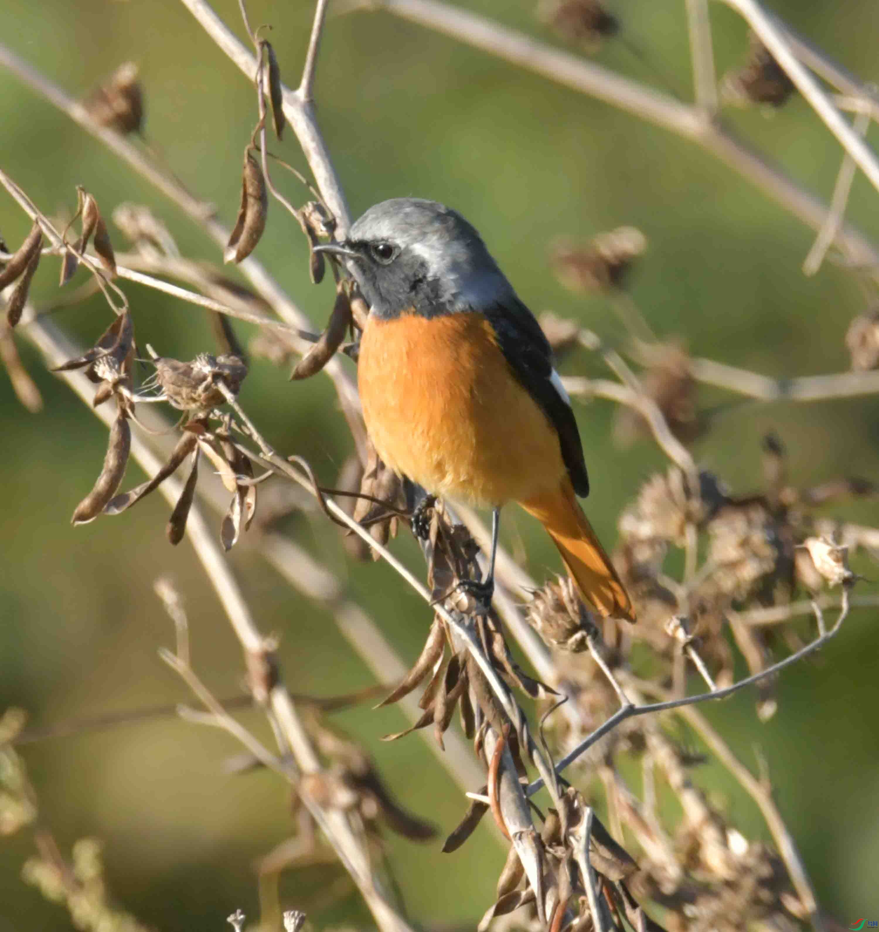 DSC_3834.JPG