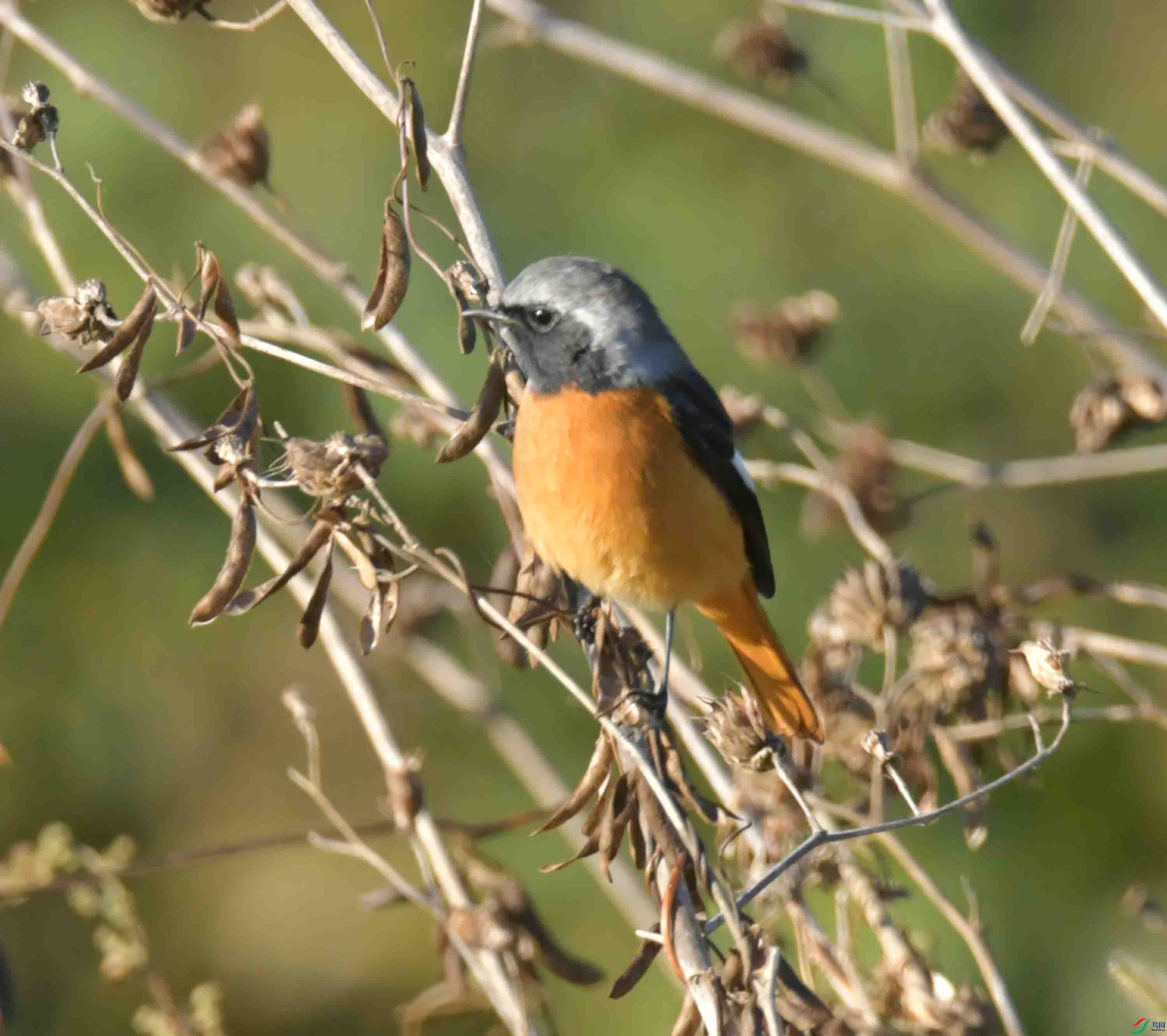 DSC_3836.JPG