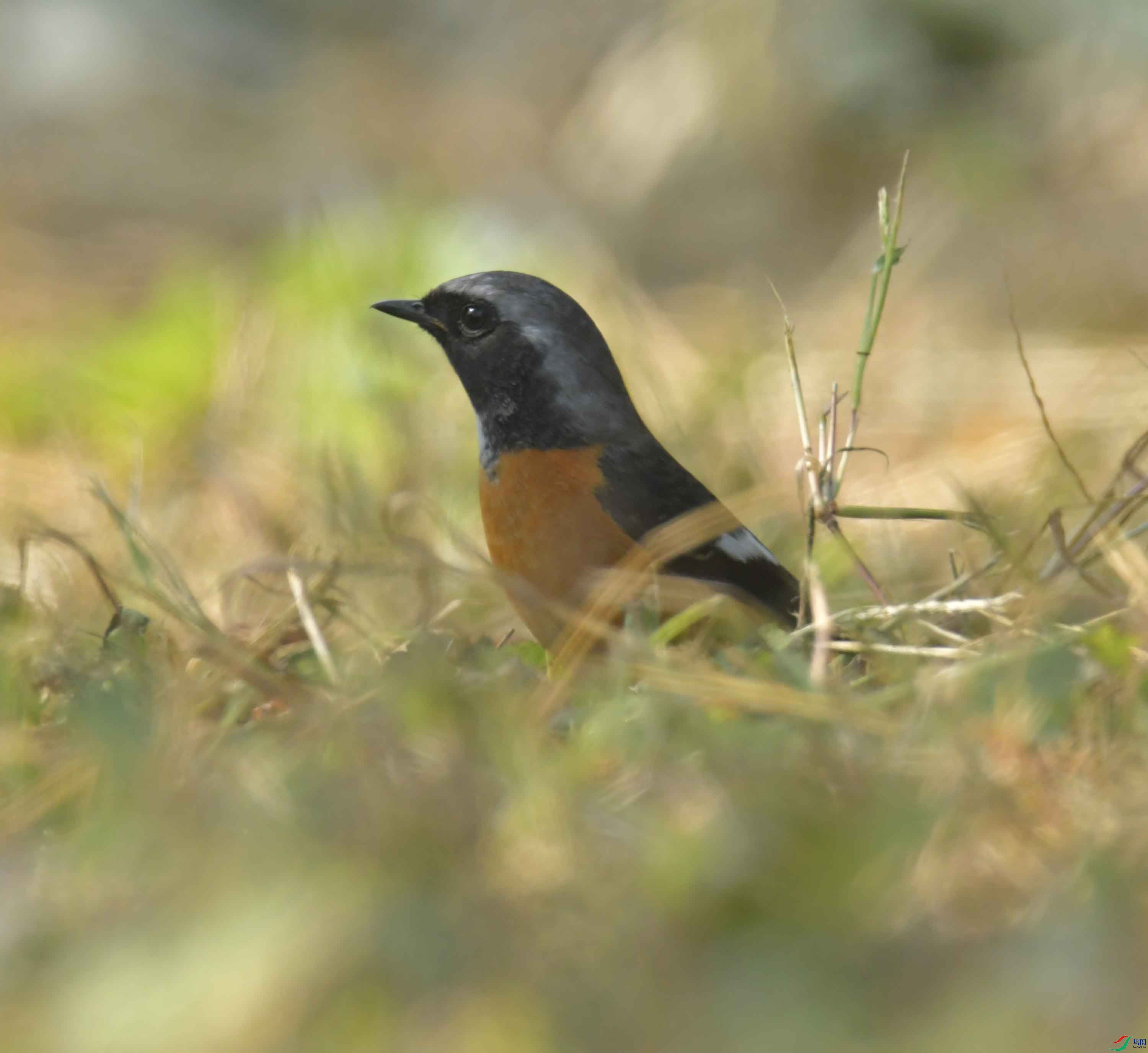 DSC_6580.JPG