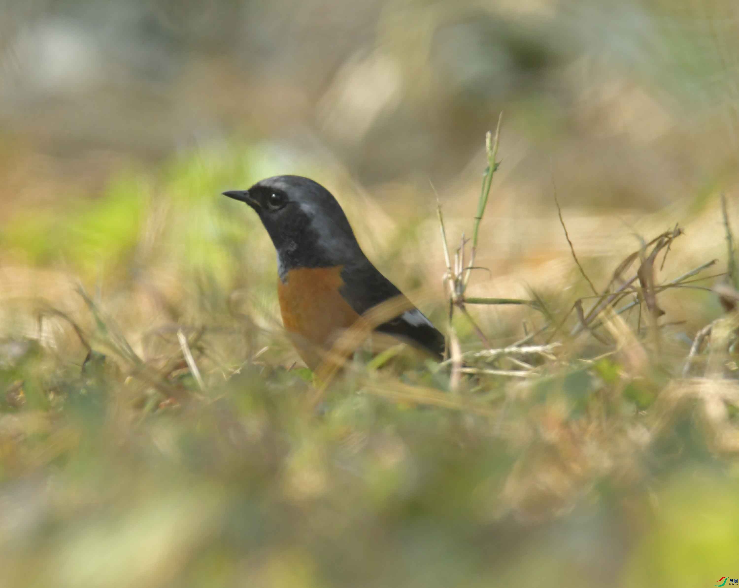 DSC_6579.JPG