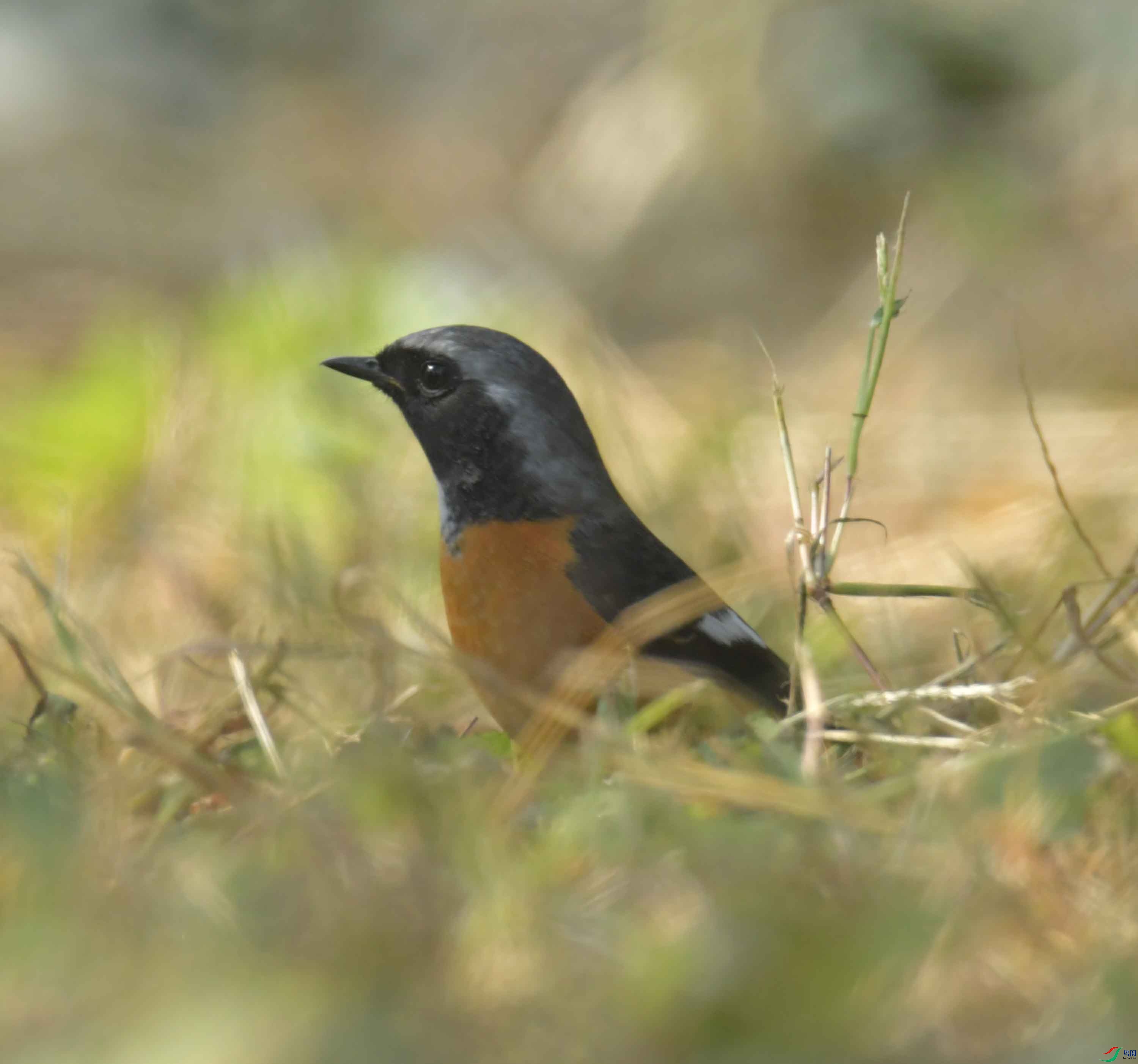 DSC_6581.JPG
