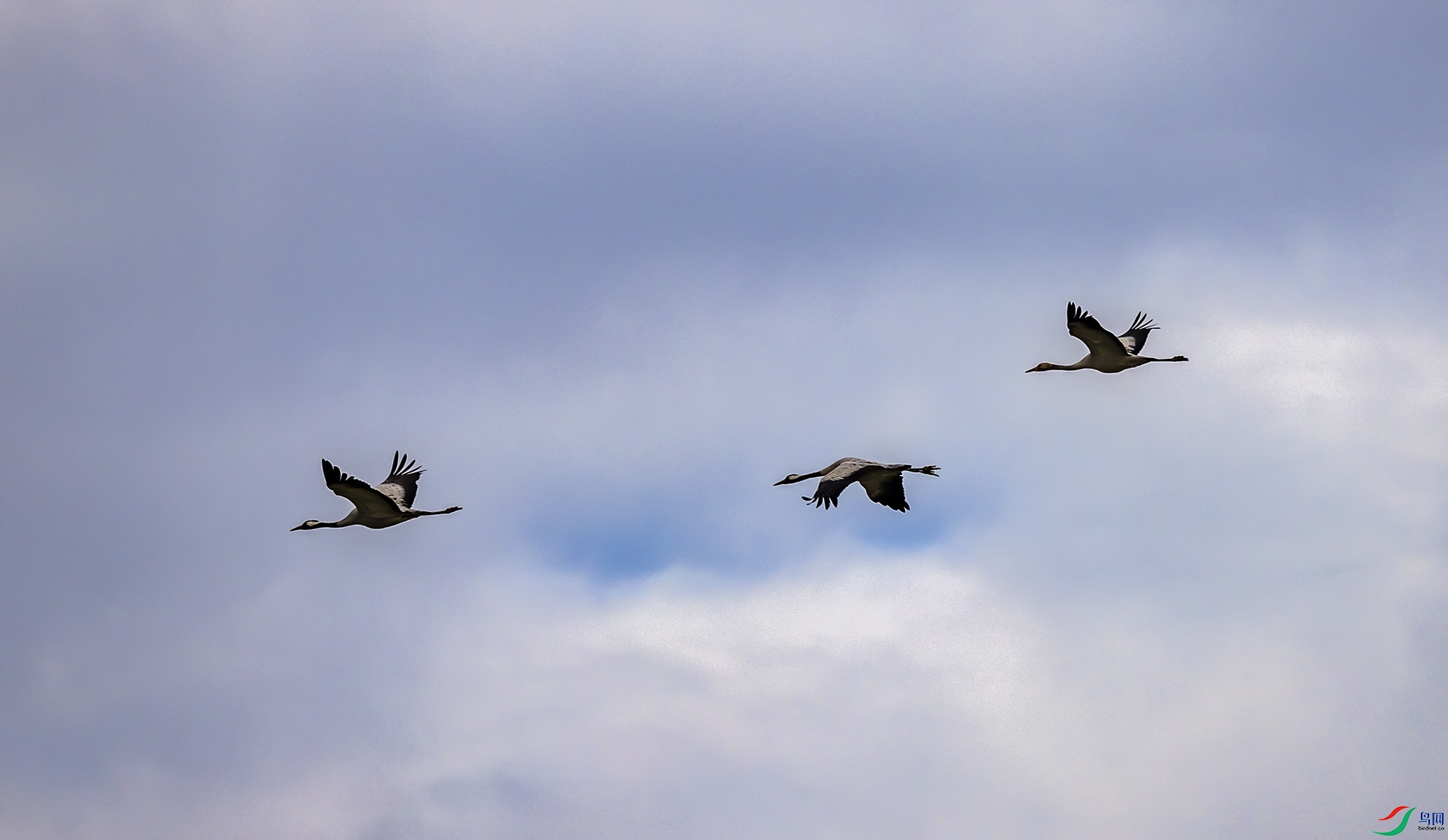 407A7339---1 .jpg