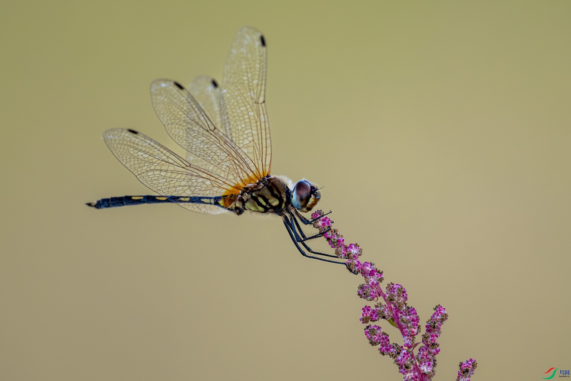DSC_5065-3.jpg