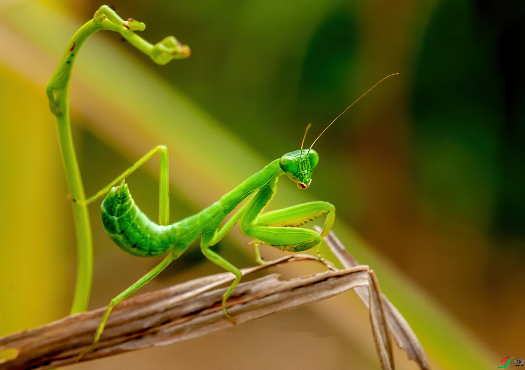 �ĵ�����201904����ӯ��_3-1.jpg