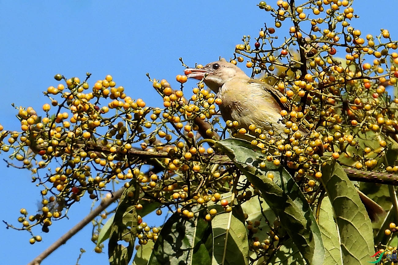 DSCN4735.jpg