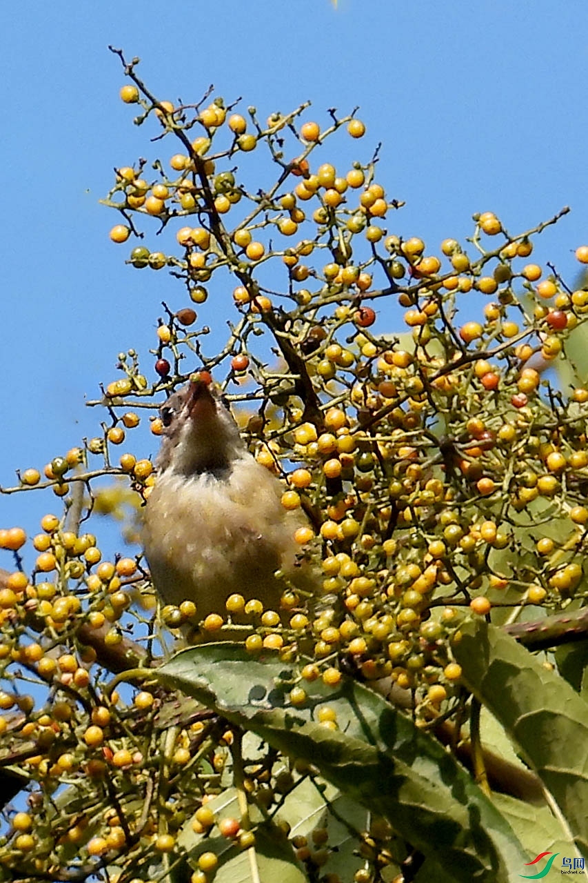 DSCN4731.jpg