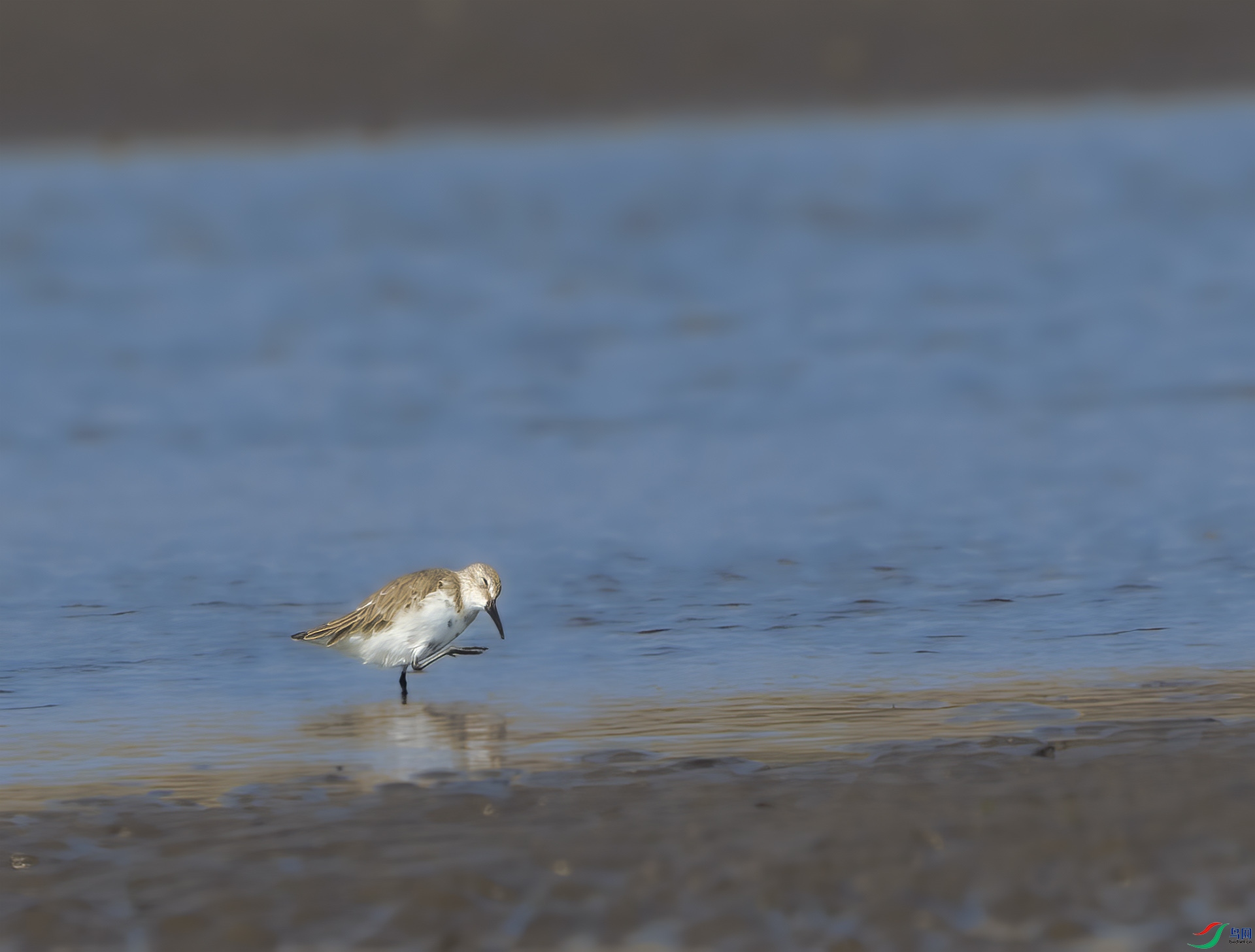 DSC04845 ����.jpg