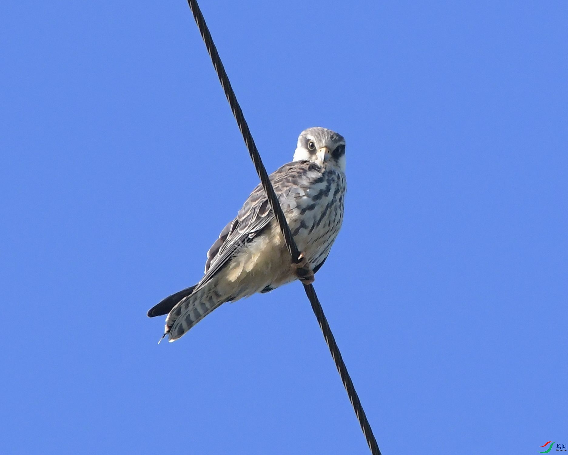 DSC_5117.JPG
