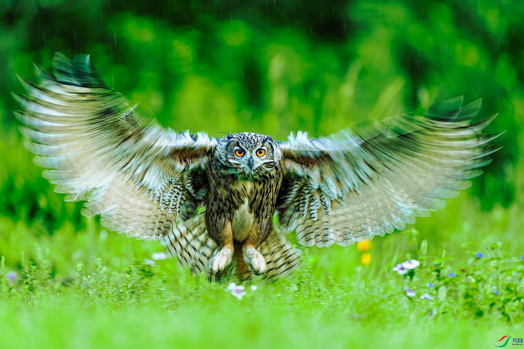 ���з���