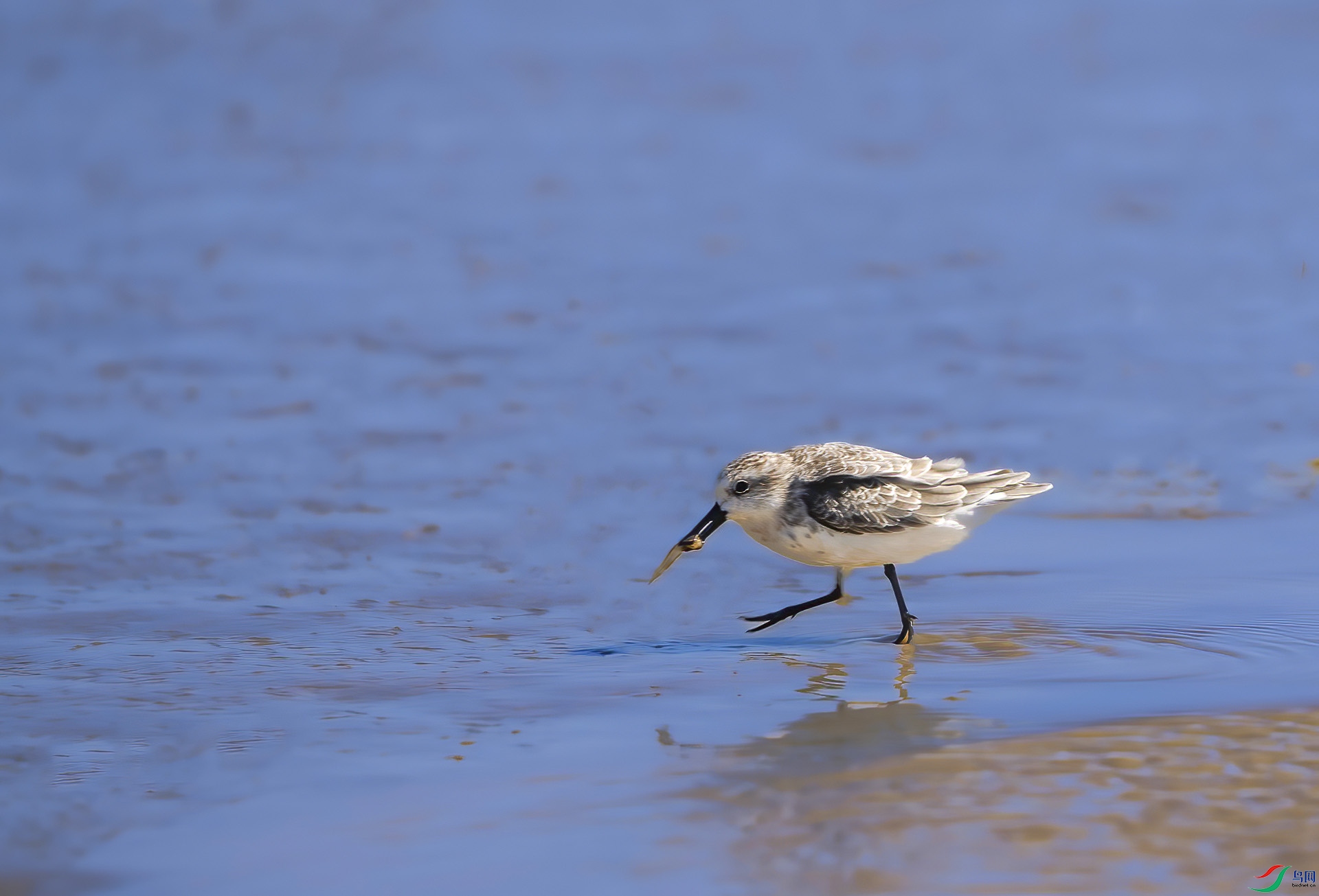 DSC02667 ����.jpg