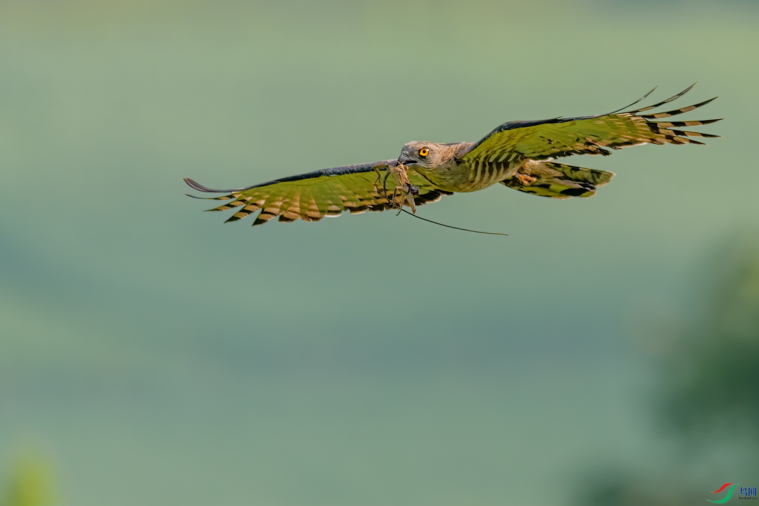 _DSC6708-1.jpg