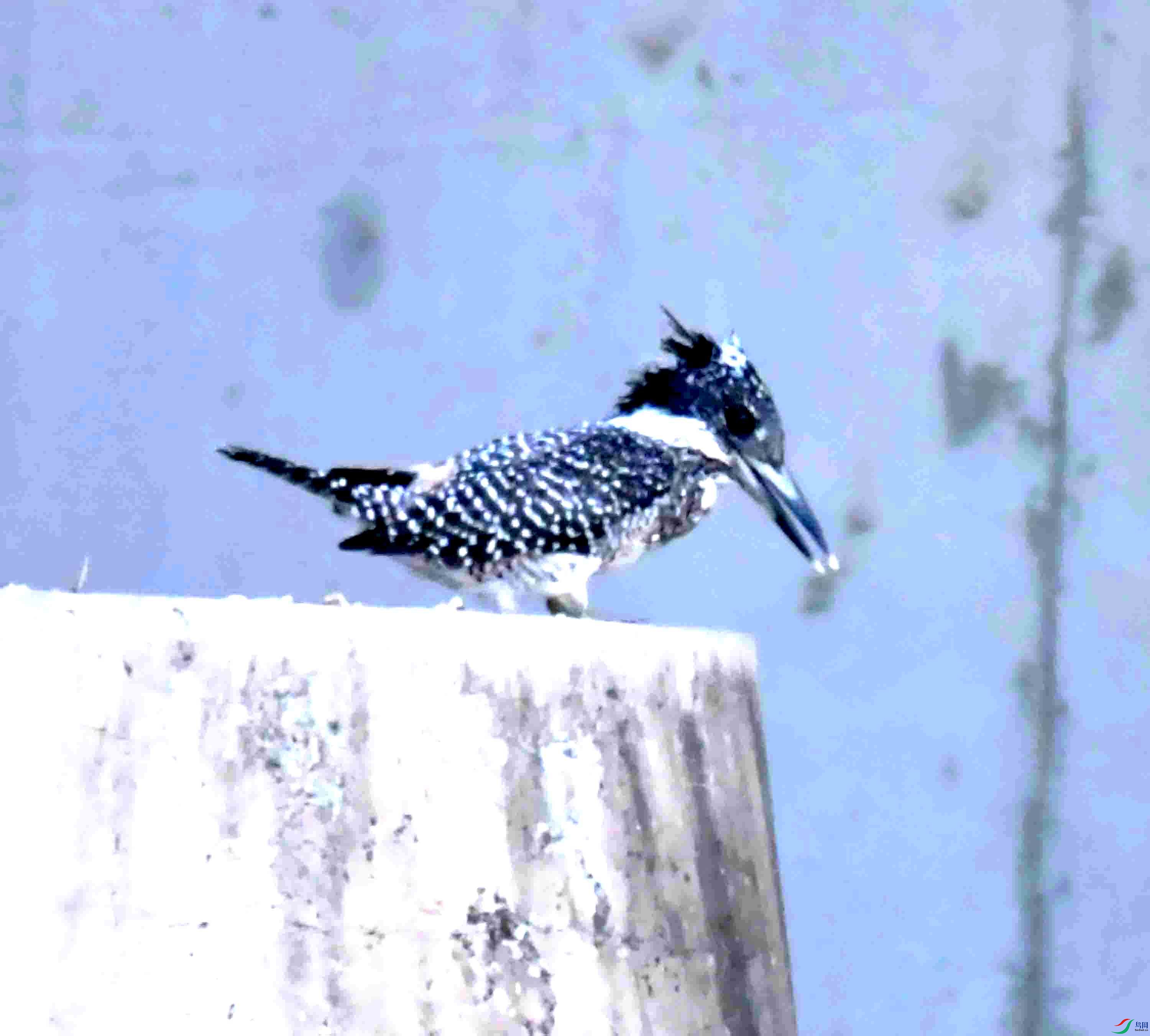 DSC_5198.JPG